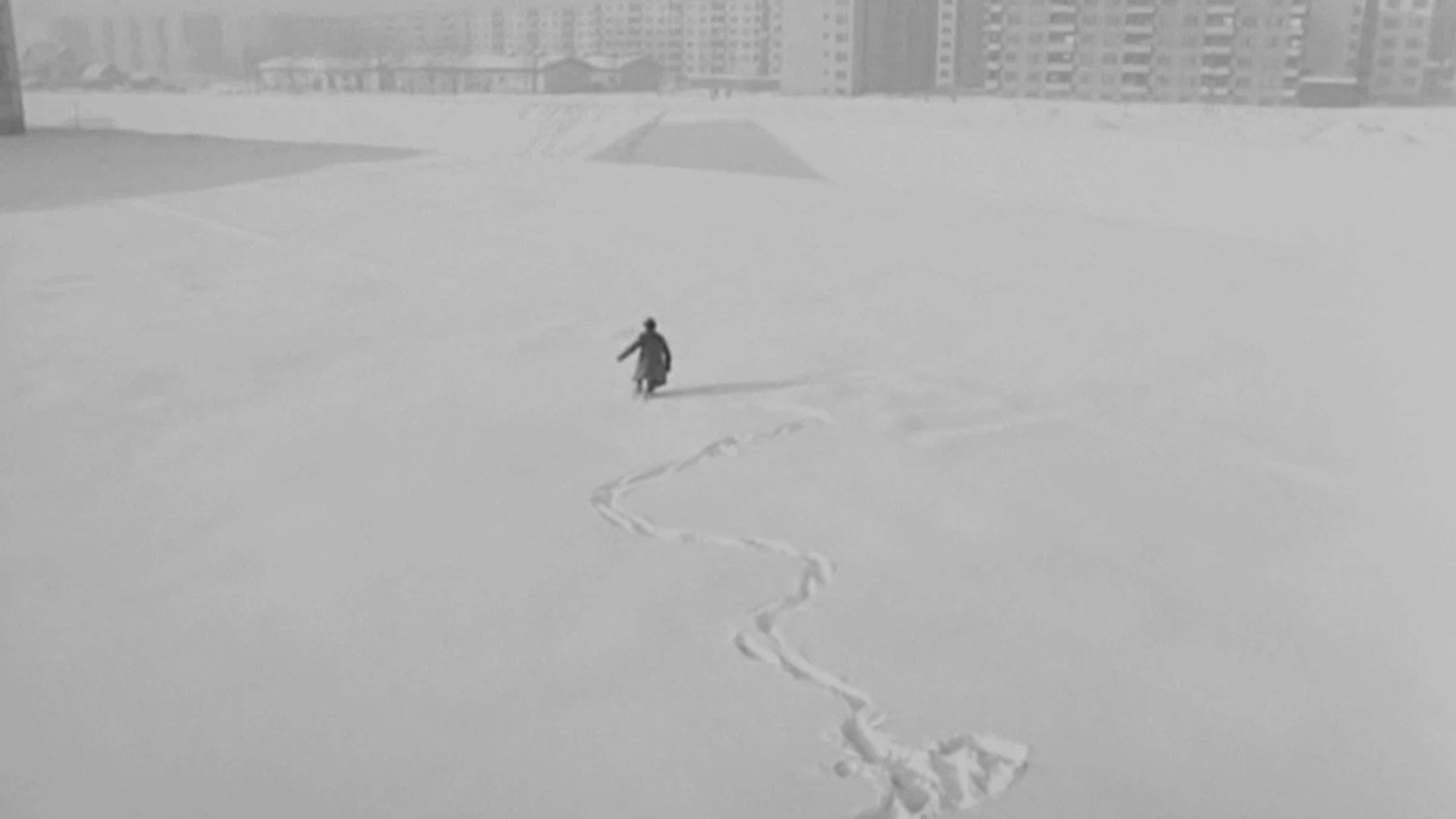 Патека