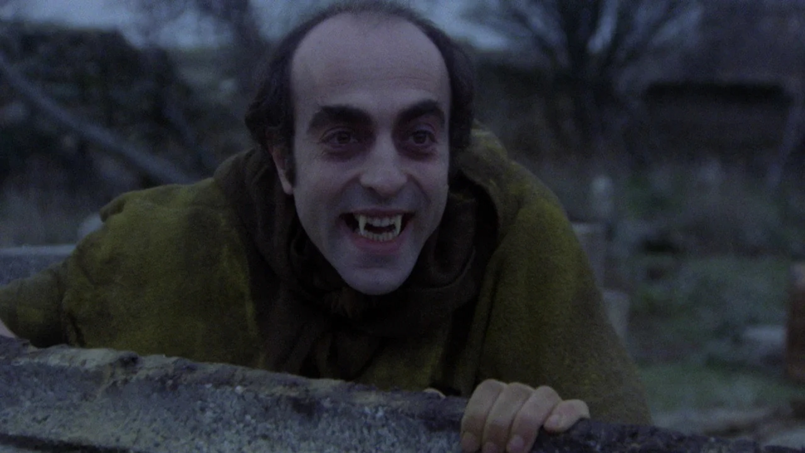 El extraño amor de los vampiros