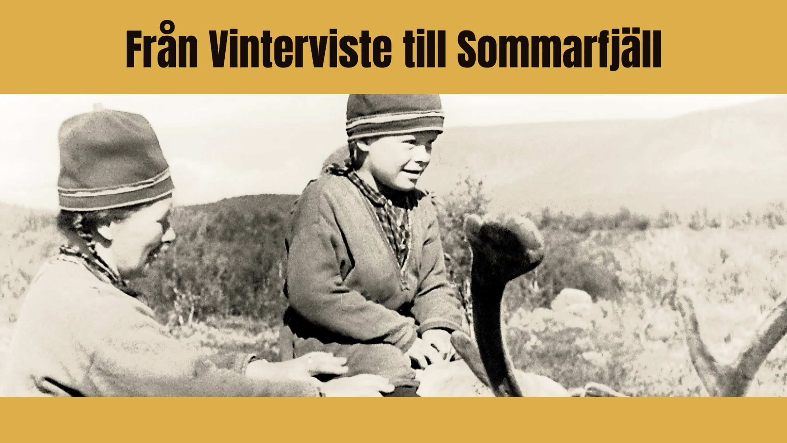 Från vinterviste till sommarfjäll