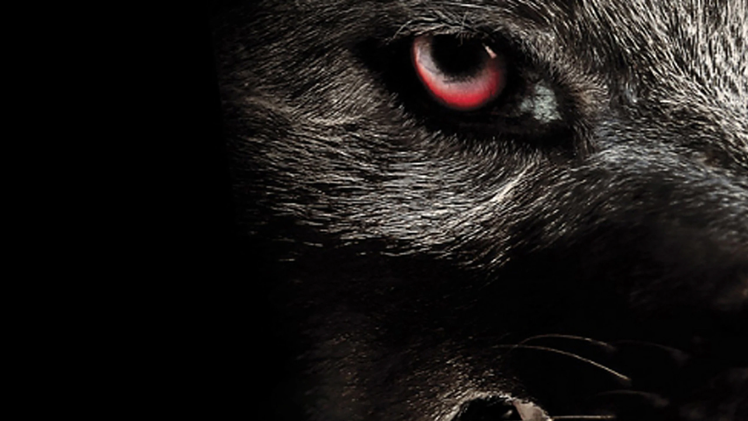 Monster Wolf