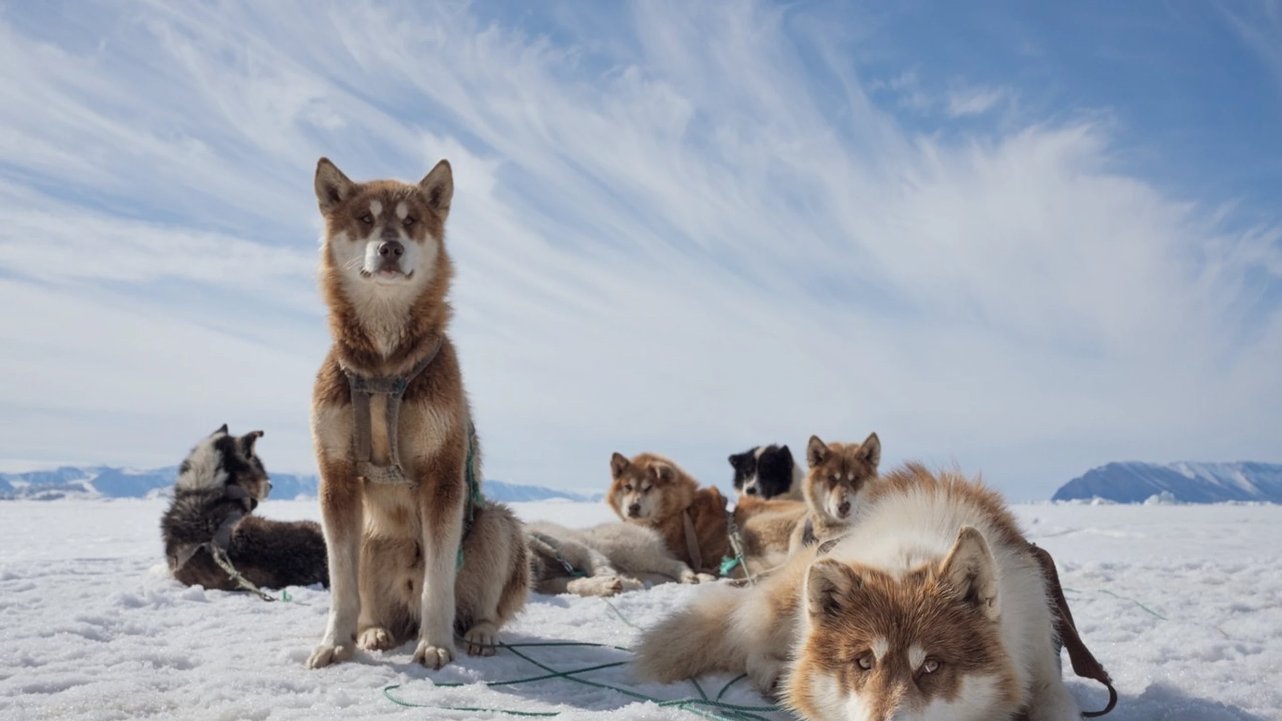 Arctic Circle