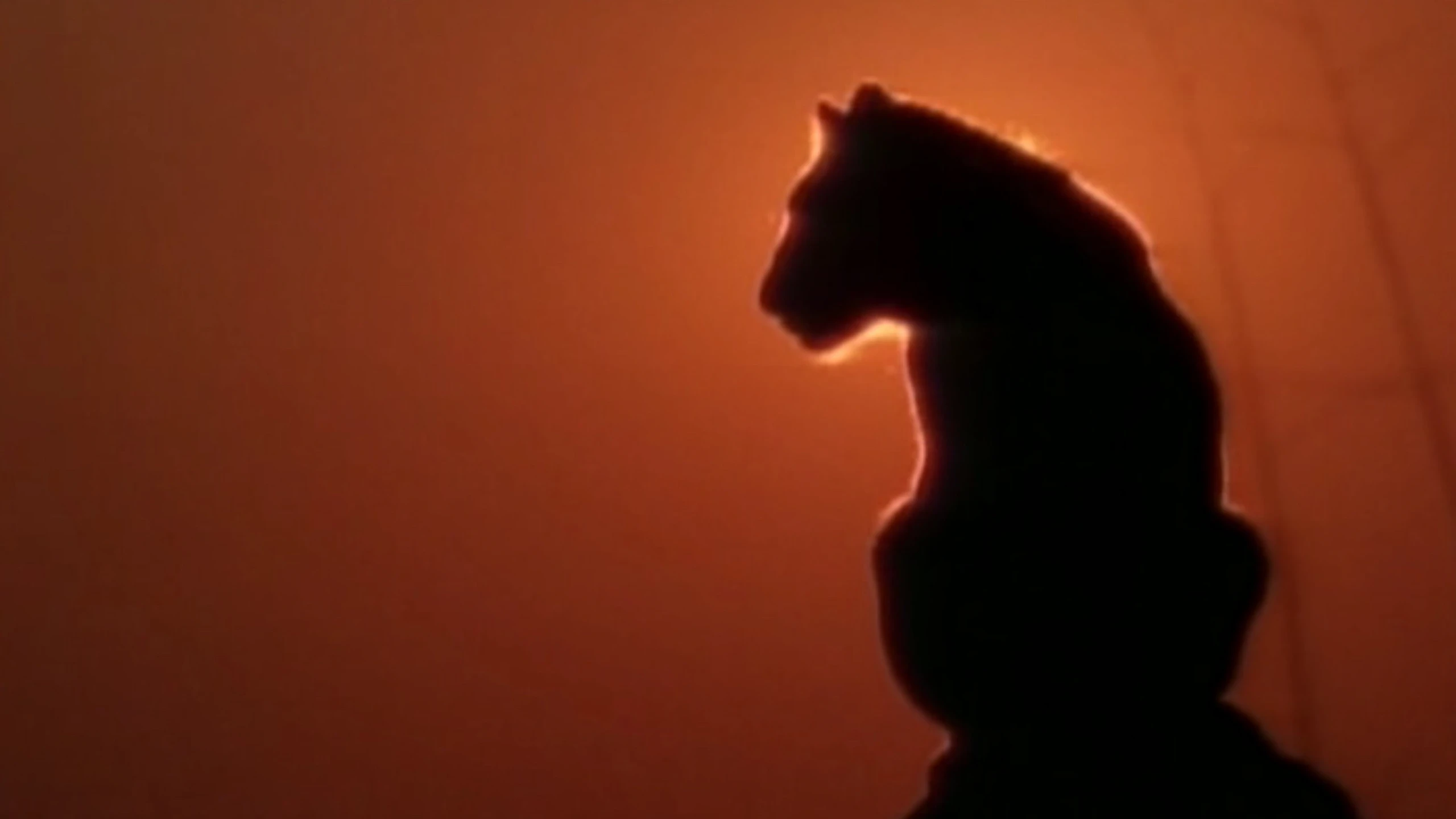Walking With Lions: Lions Of Darkness