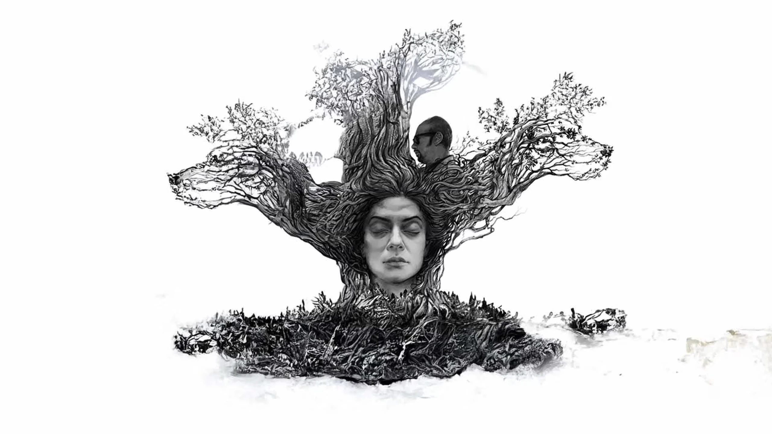 Nirbaak