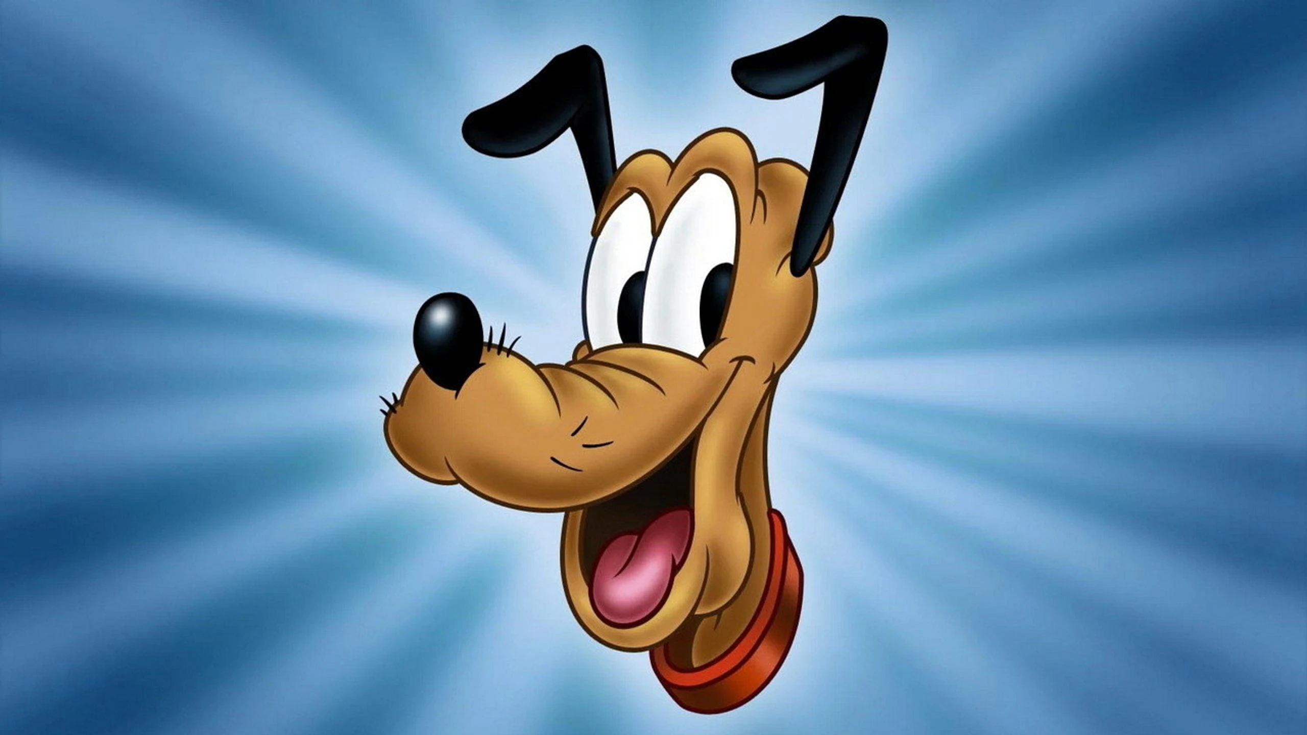 The Life and Times of Pluto