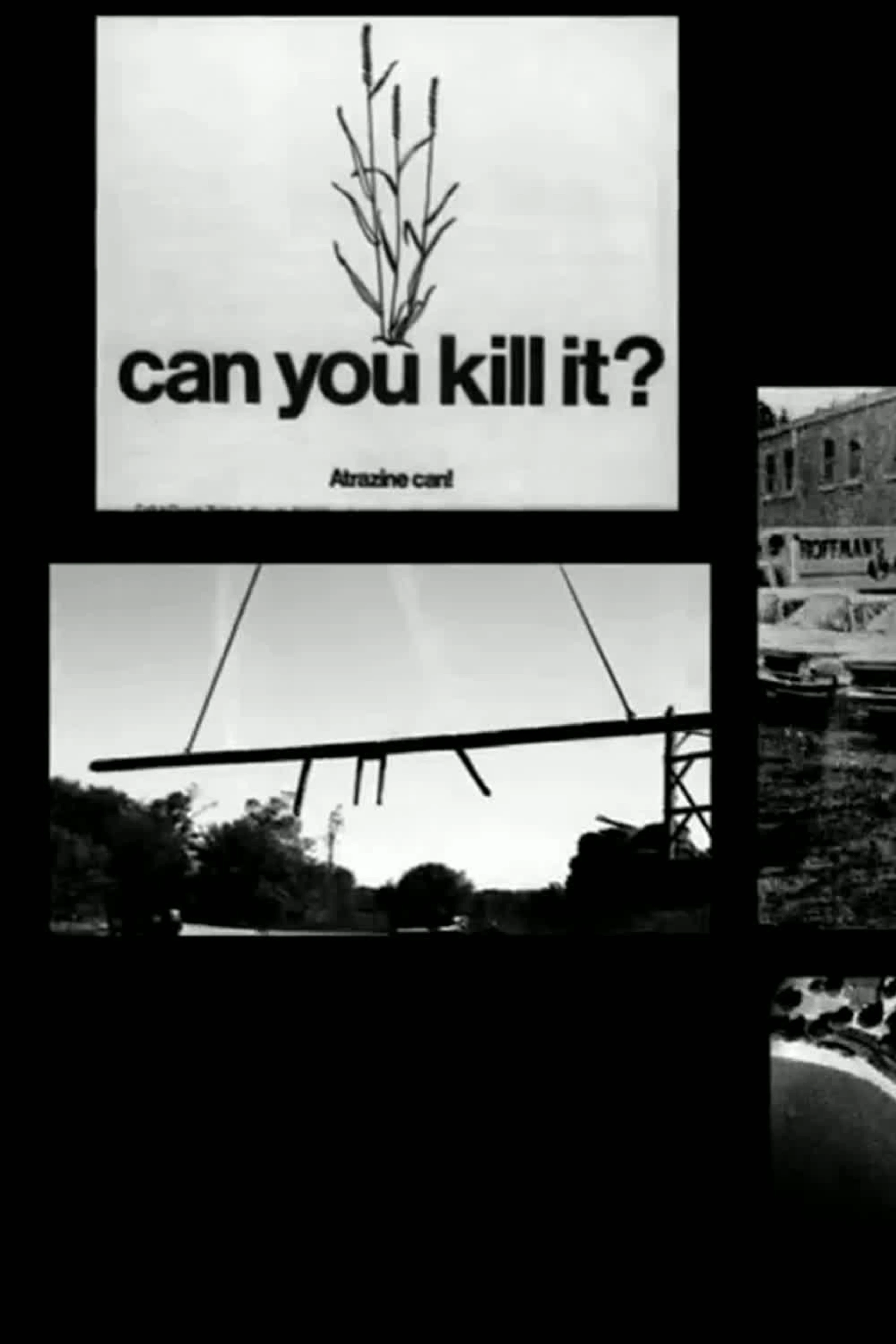 Slaughterhouse