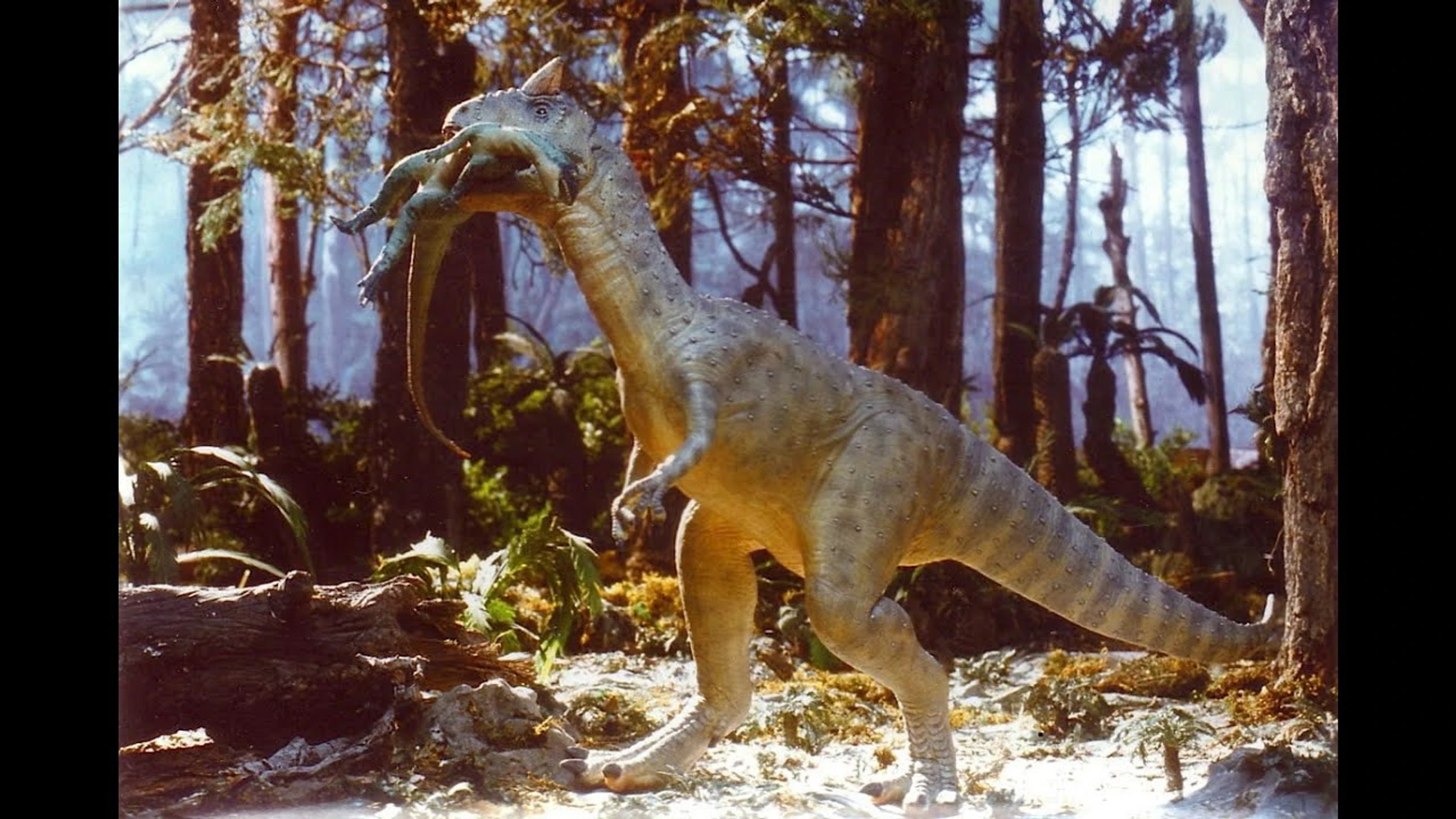 Muttaburrasaurus