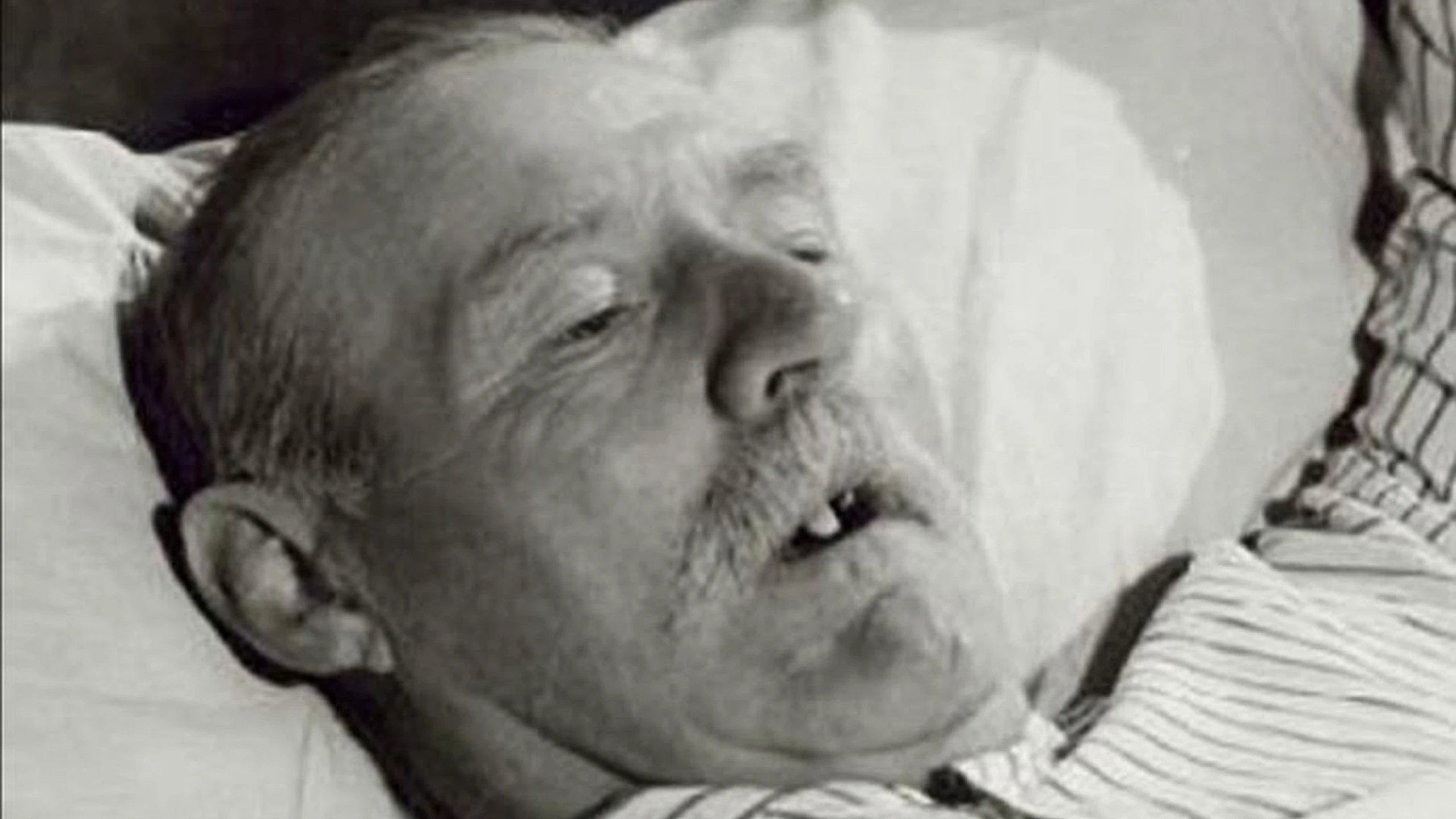 Life and Death in Flanders