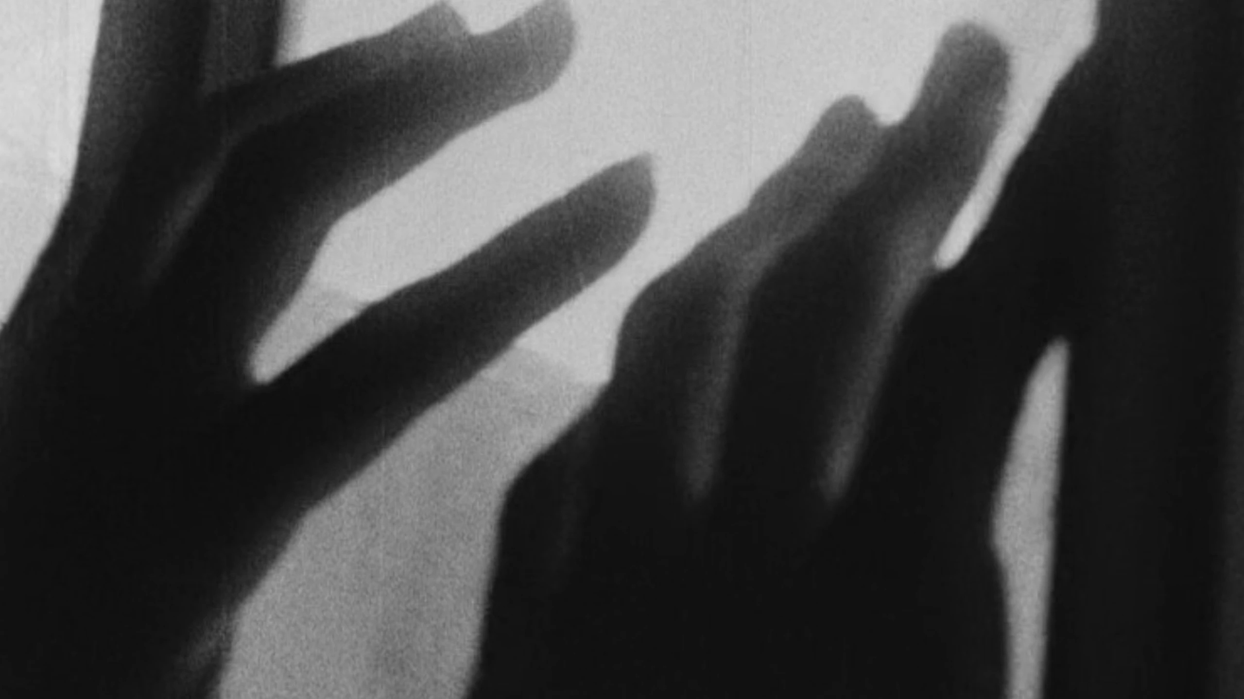 K (Metamorphosis)