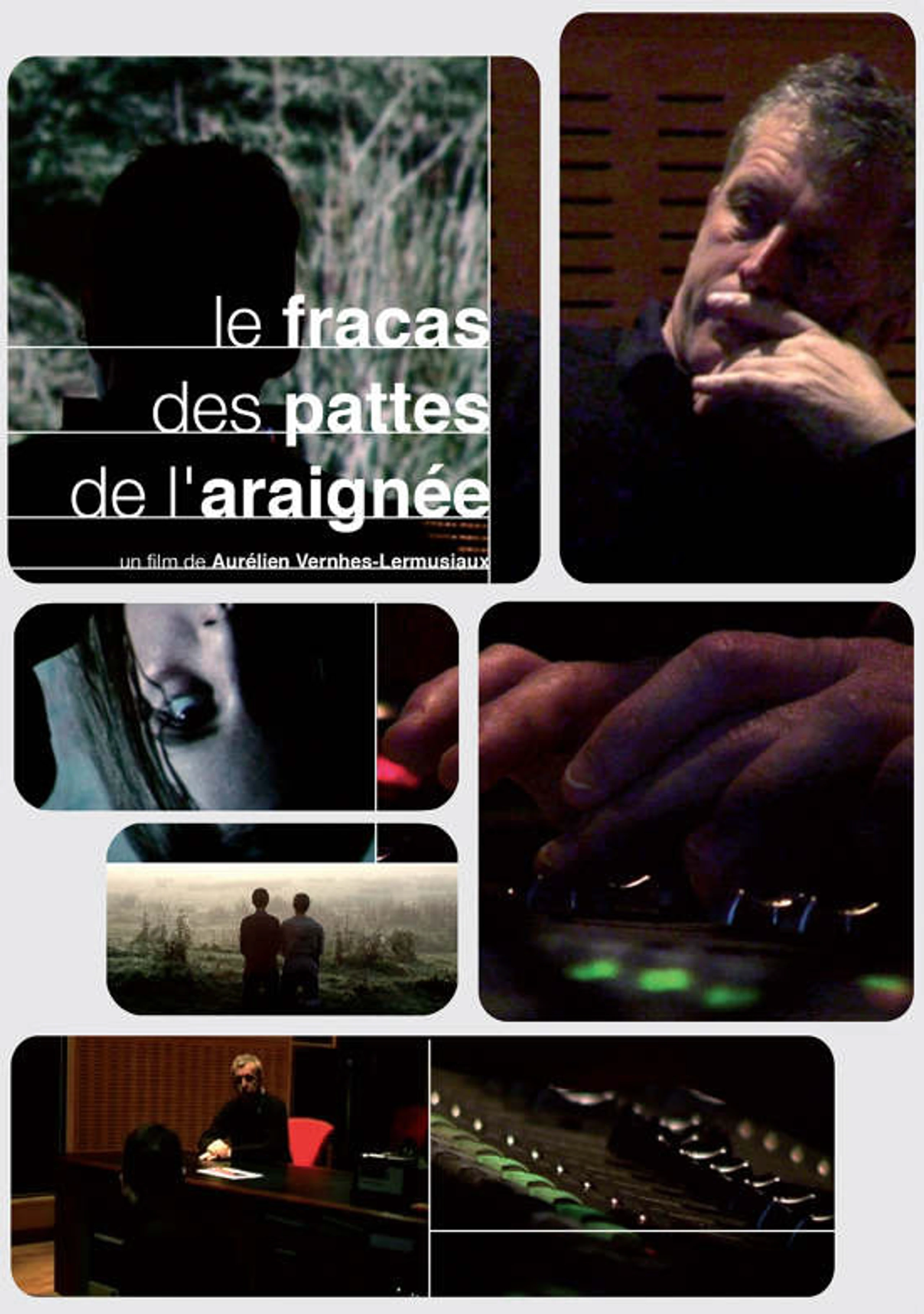Le fracas des pattes de l'araignée