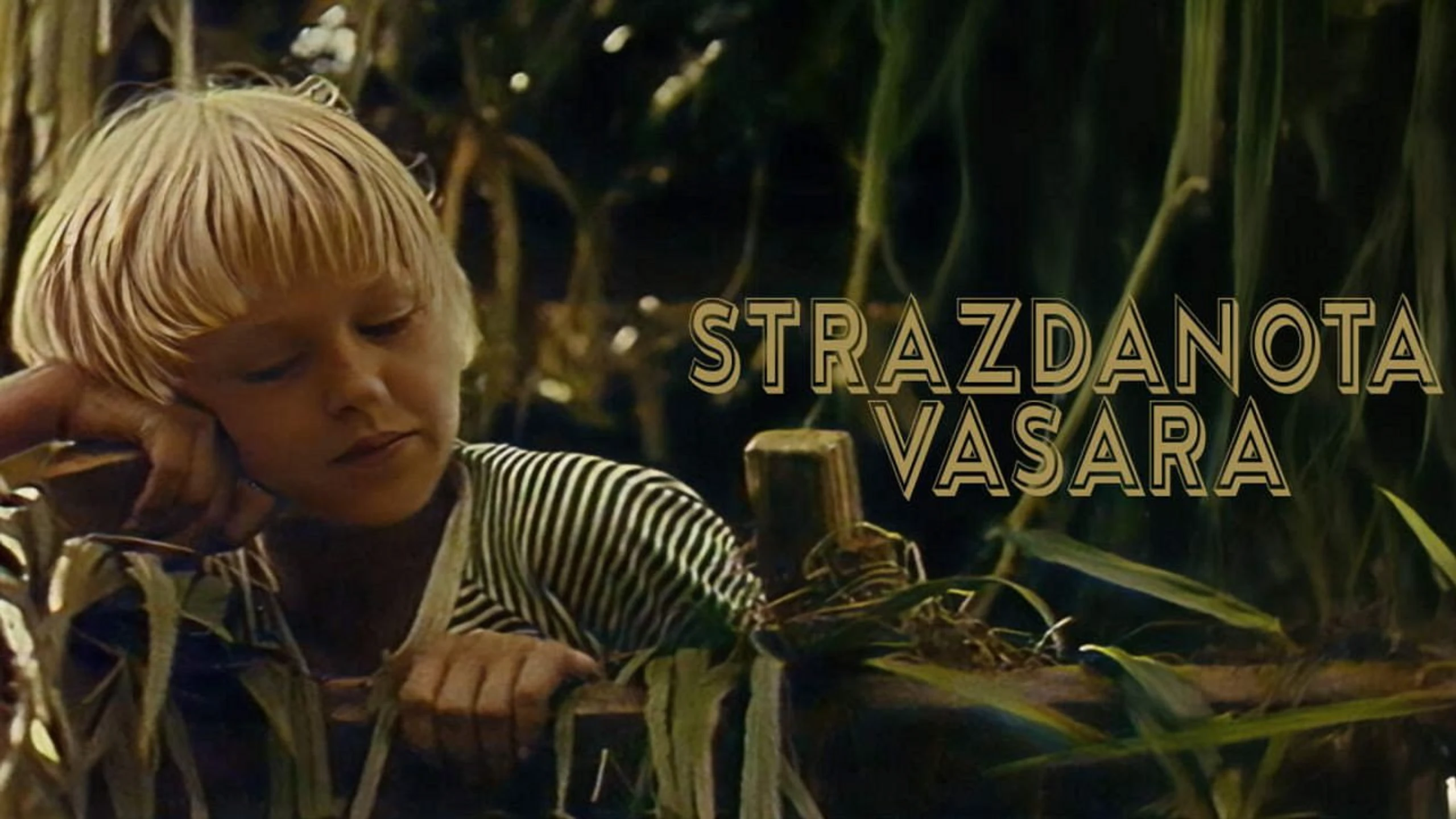 Strazdanota vasara