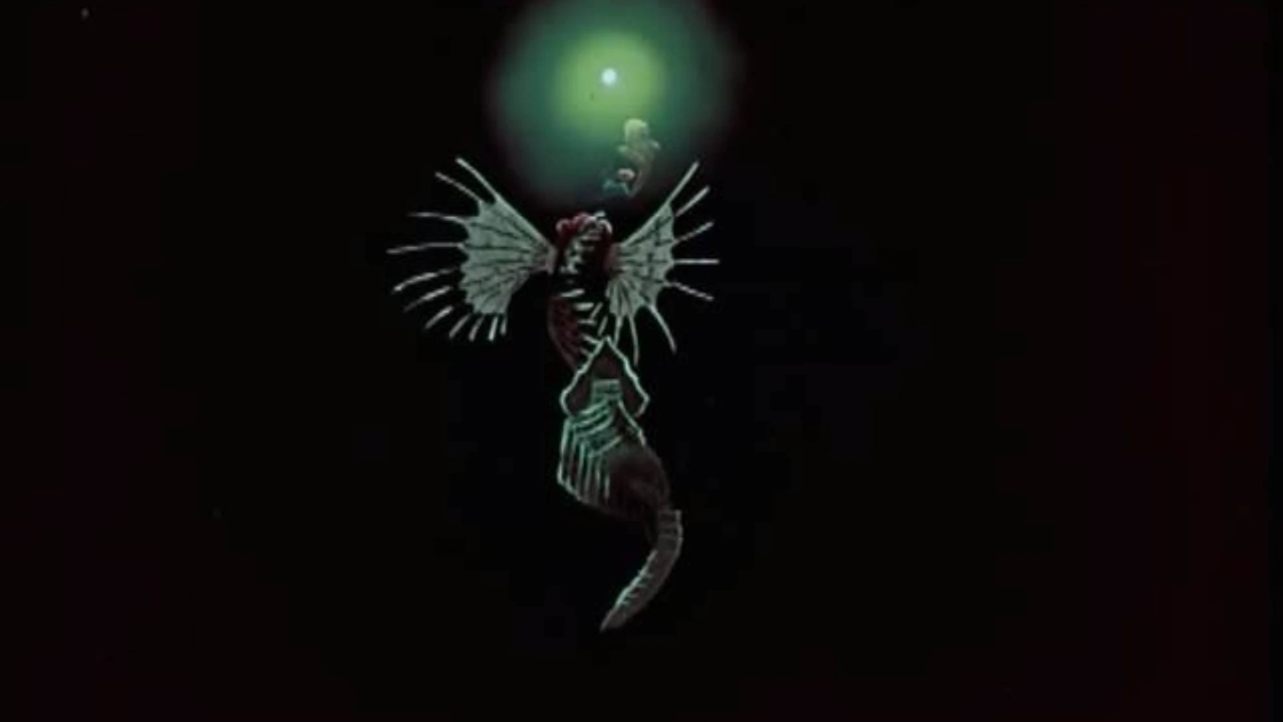 The Firefly