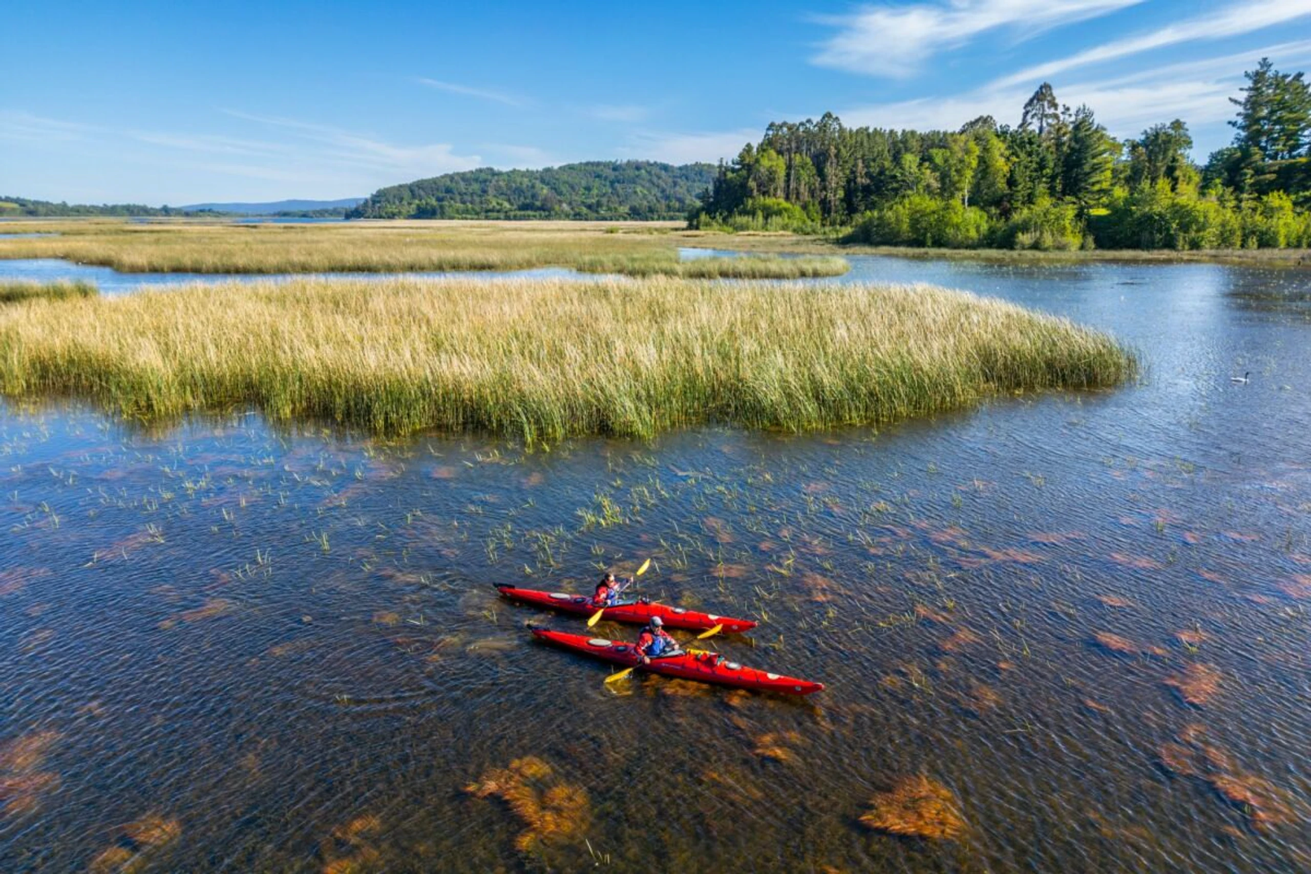 Unterwegs mit dem Paddelboot im Naturschutzgebiet Carlos Anwandter