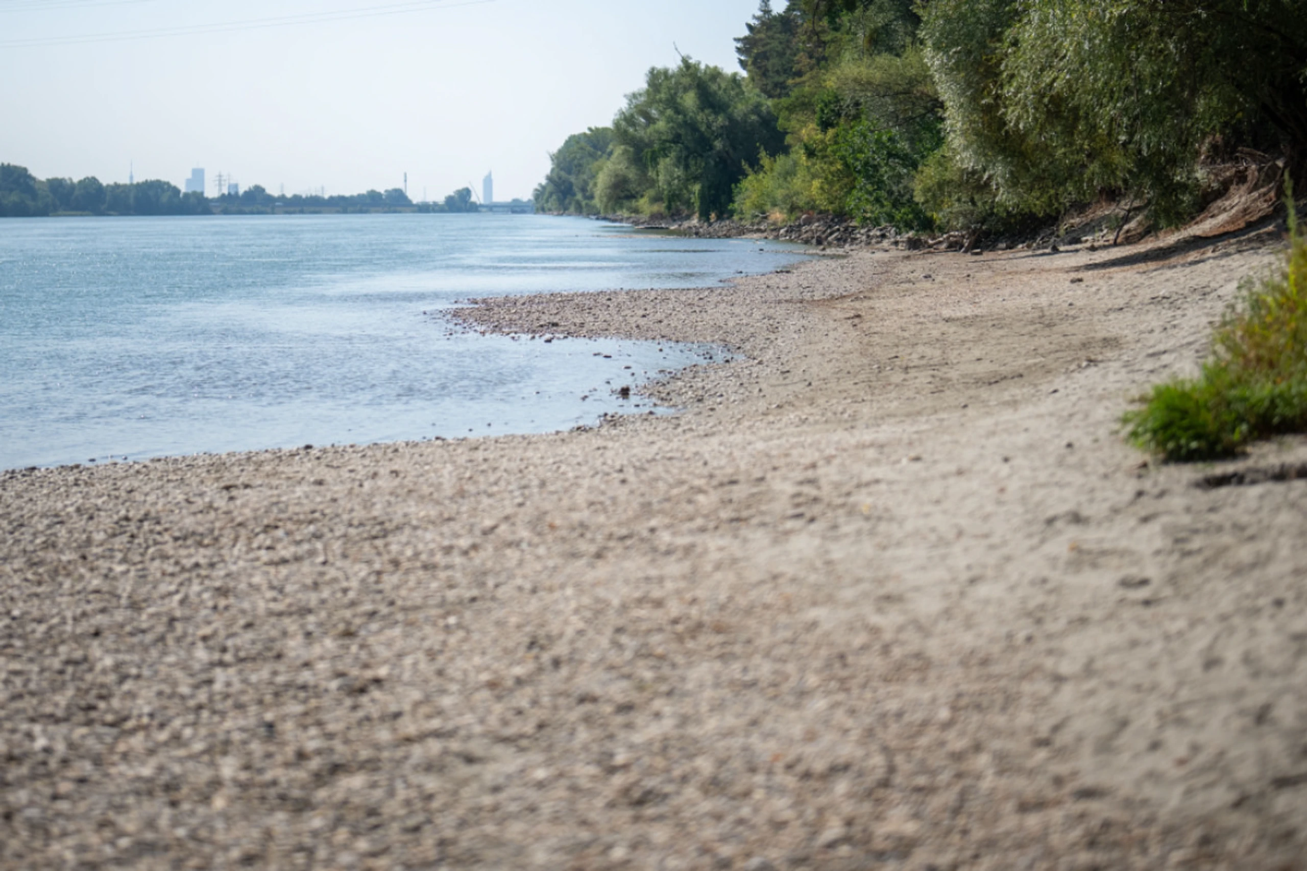 Das Niedrigwasser der Donau lüftet Geheimnisse