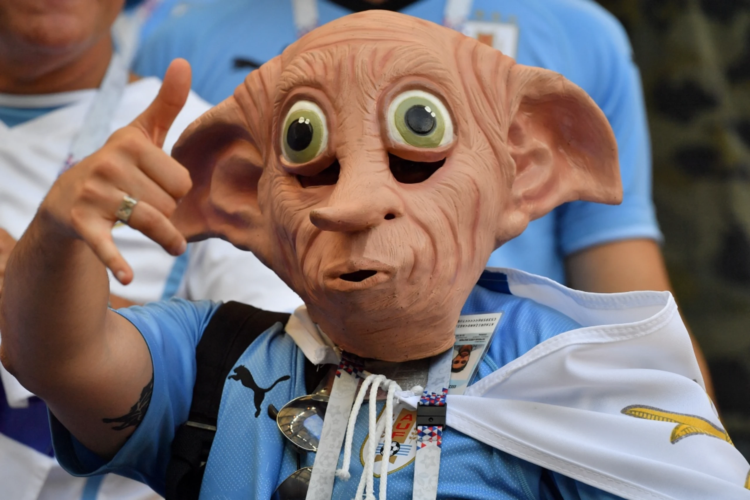 Hauself Dobby wäre stolz auf seine Fans