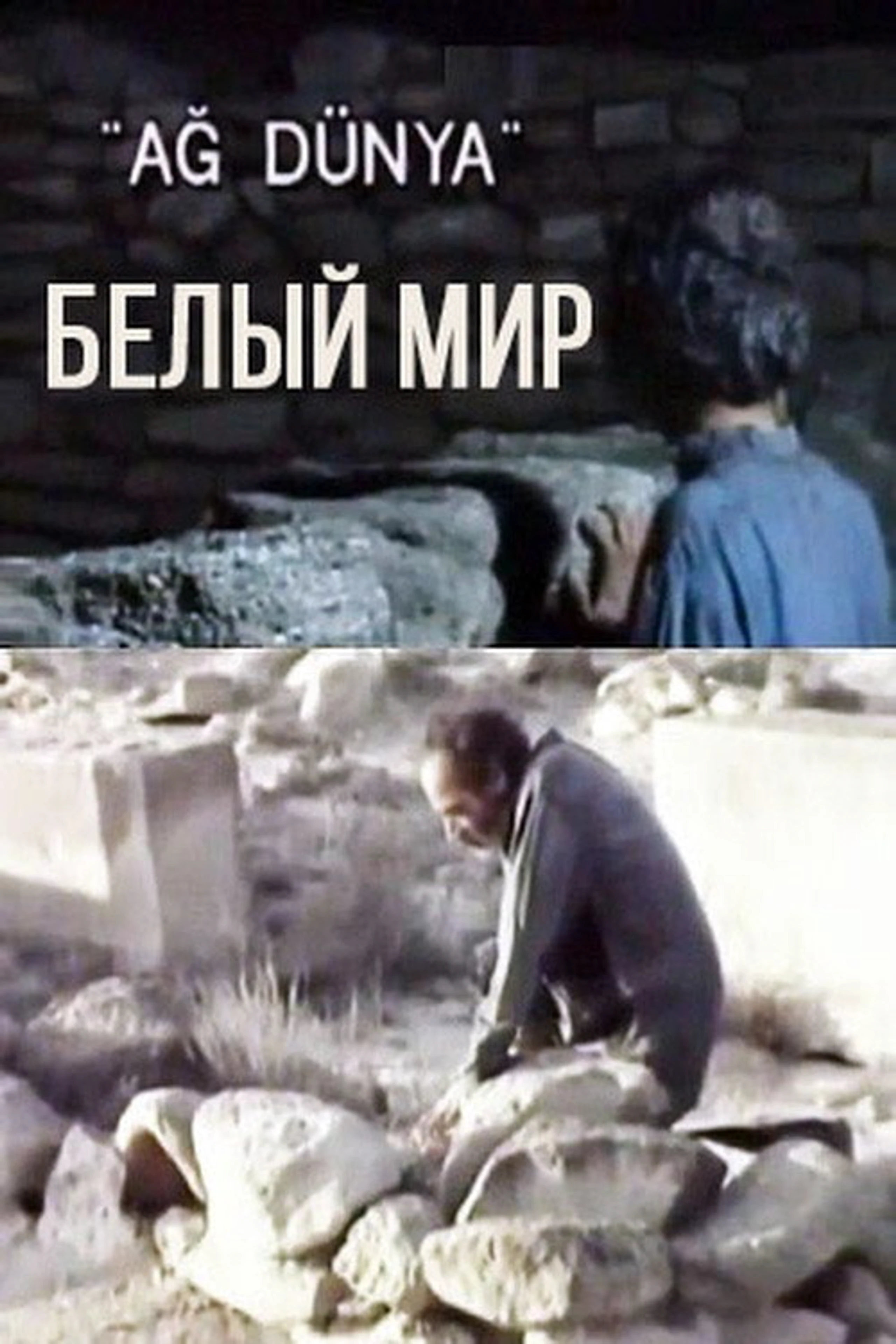 Ağ Dünya