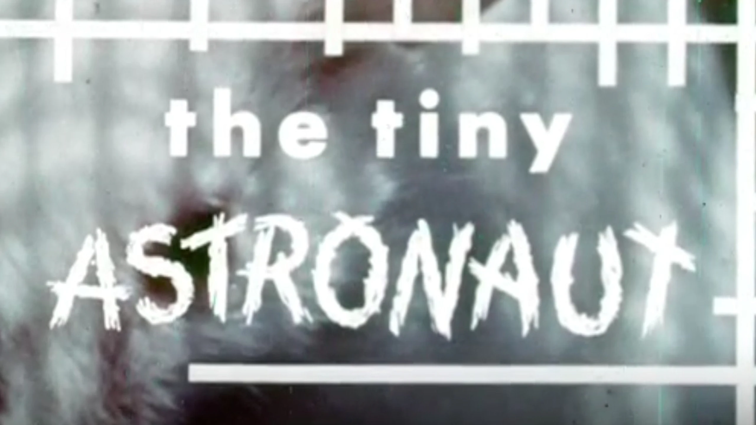 The Tiny Astronaut