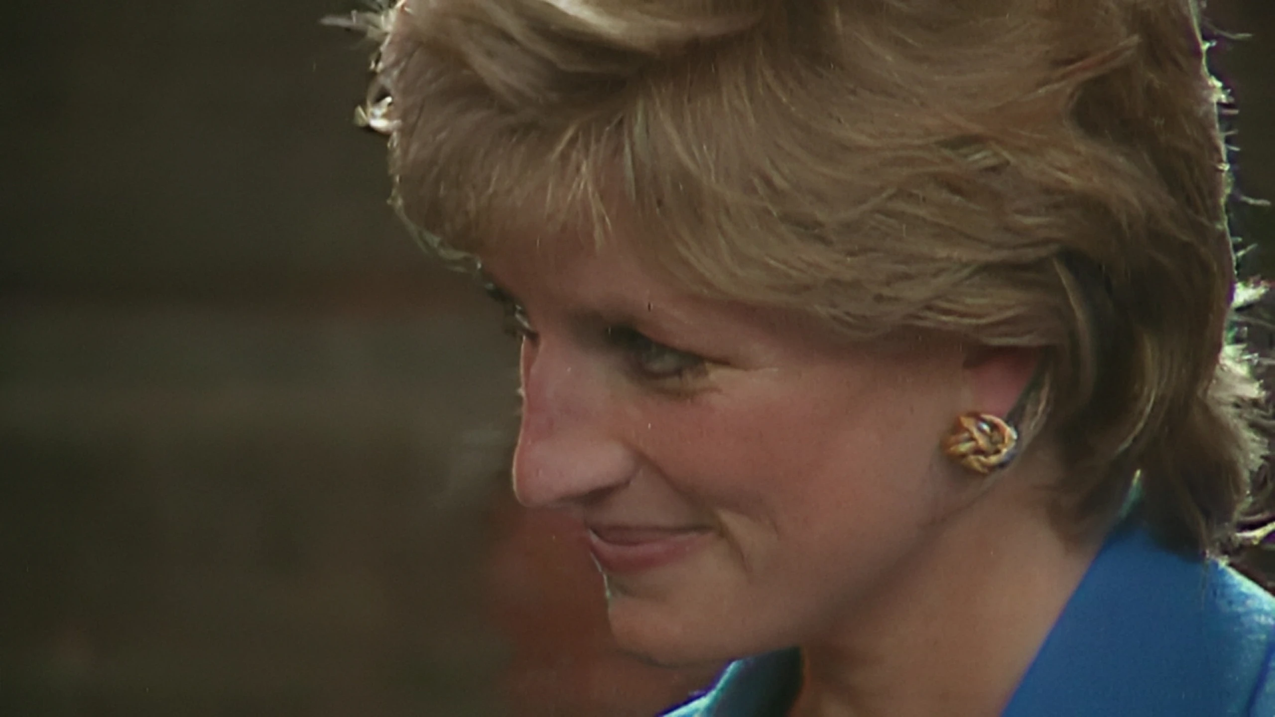 Diana Princess of Wales: a Celebration of a Life