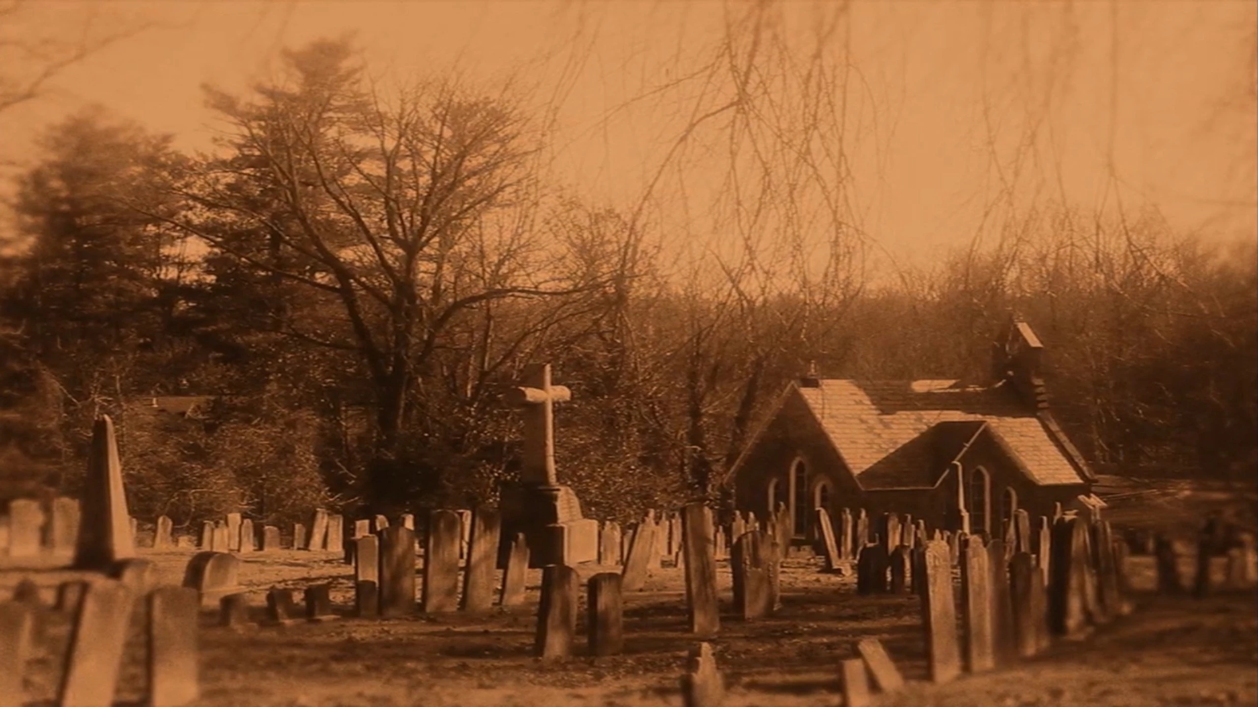 Garden of souls