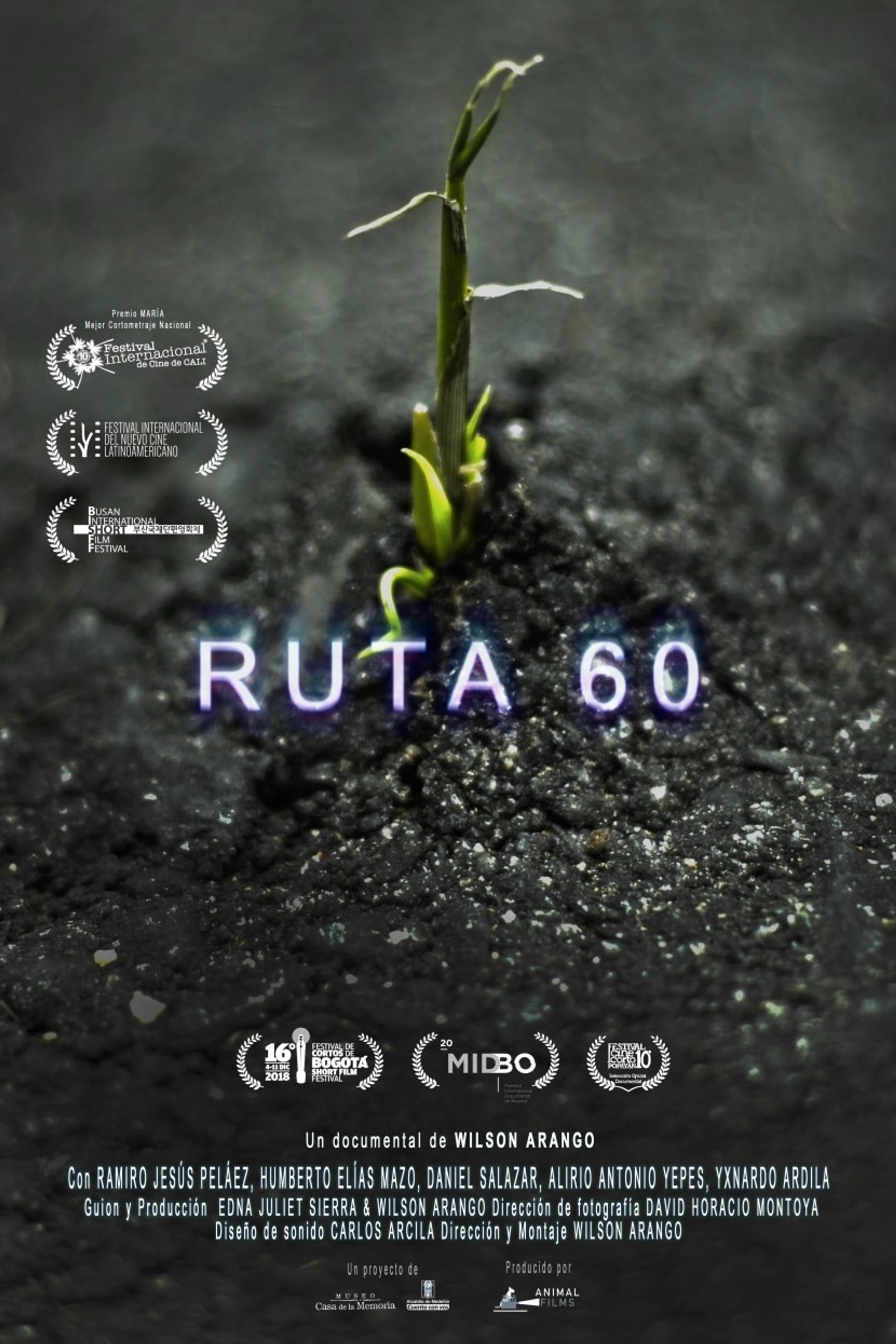 Ruta 60