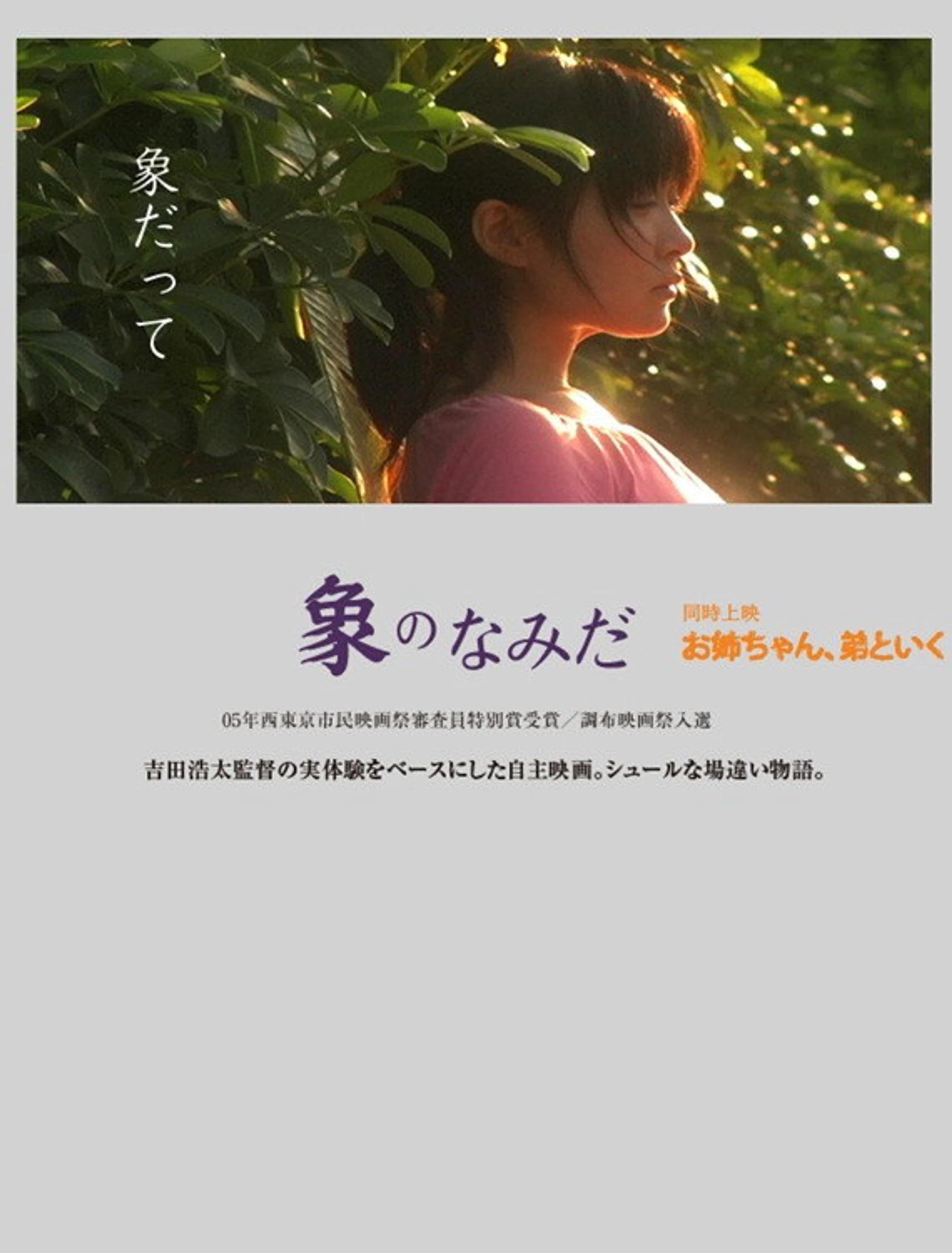 Zou no namida