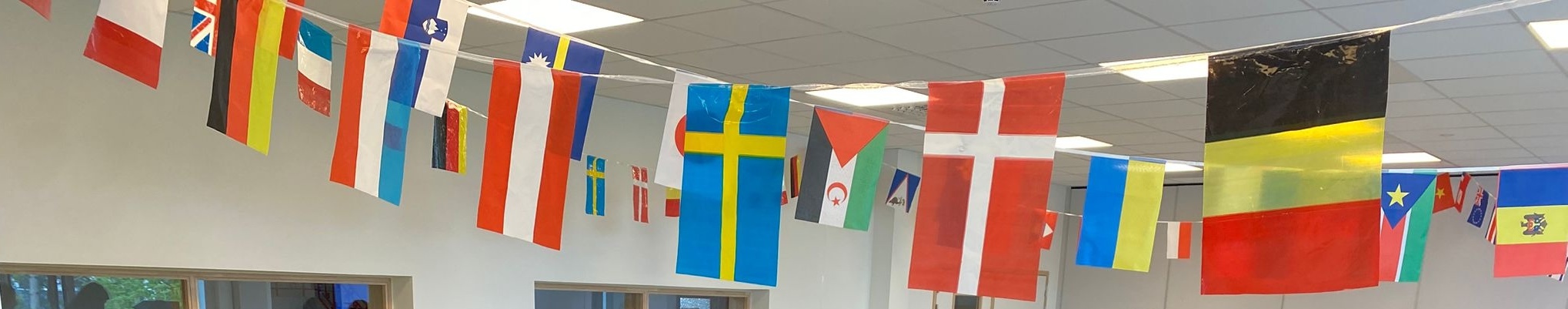 Flaggen europäische Länder