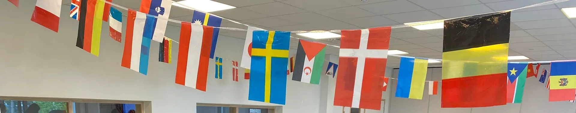 Flaggen europäische Länder