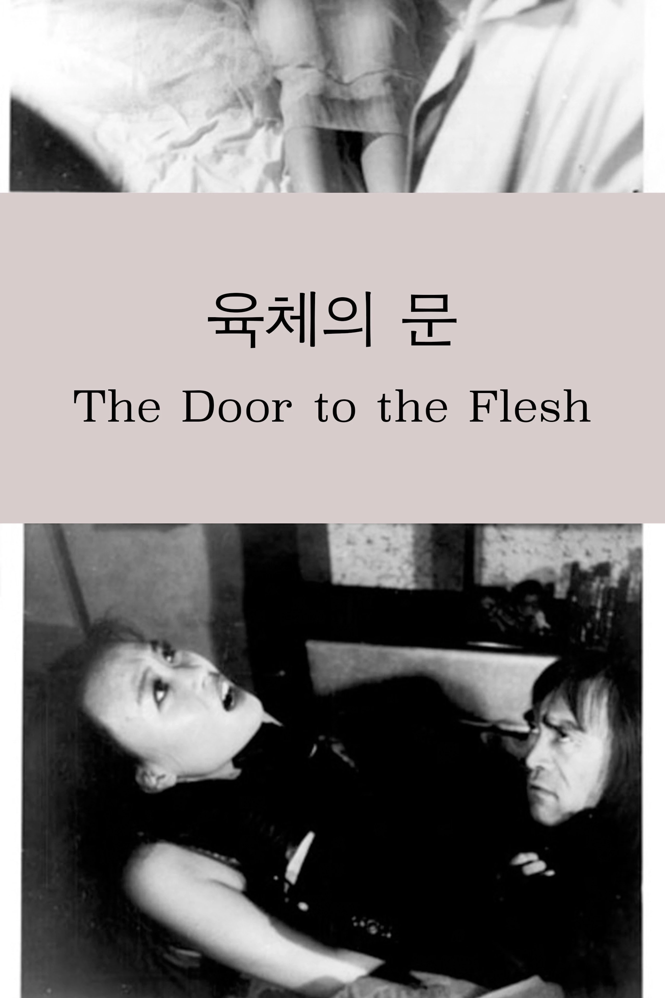 육체의 문