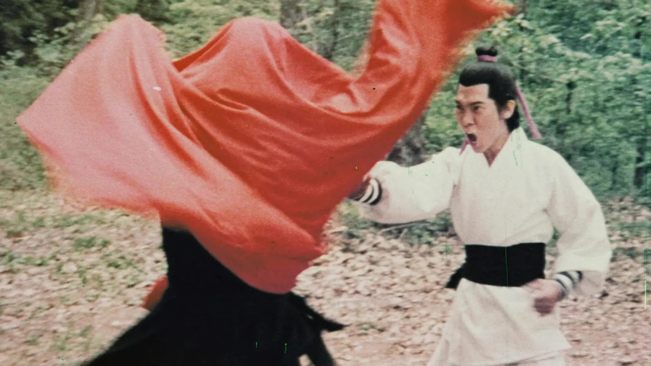 Die Silberfaust der Shaolin