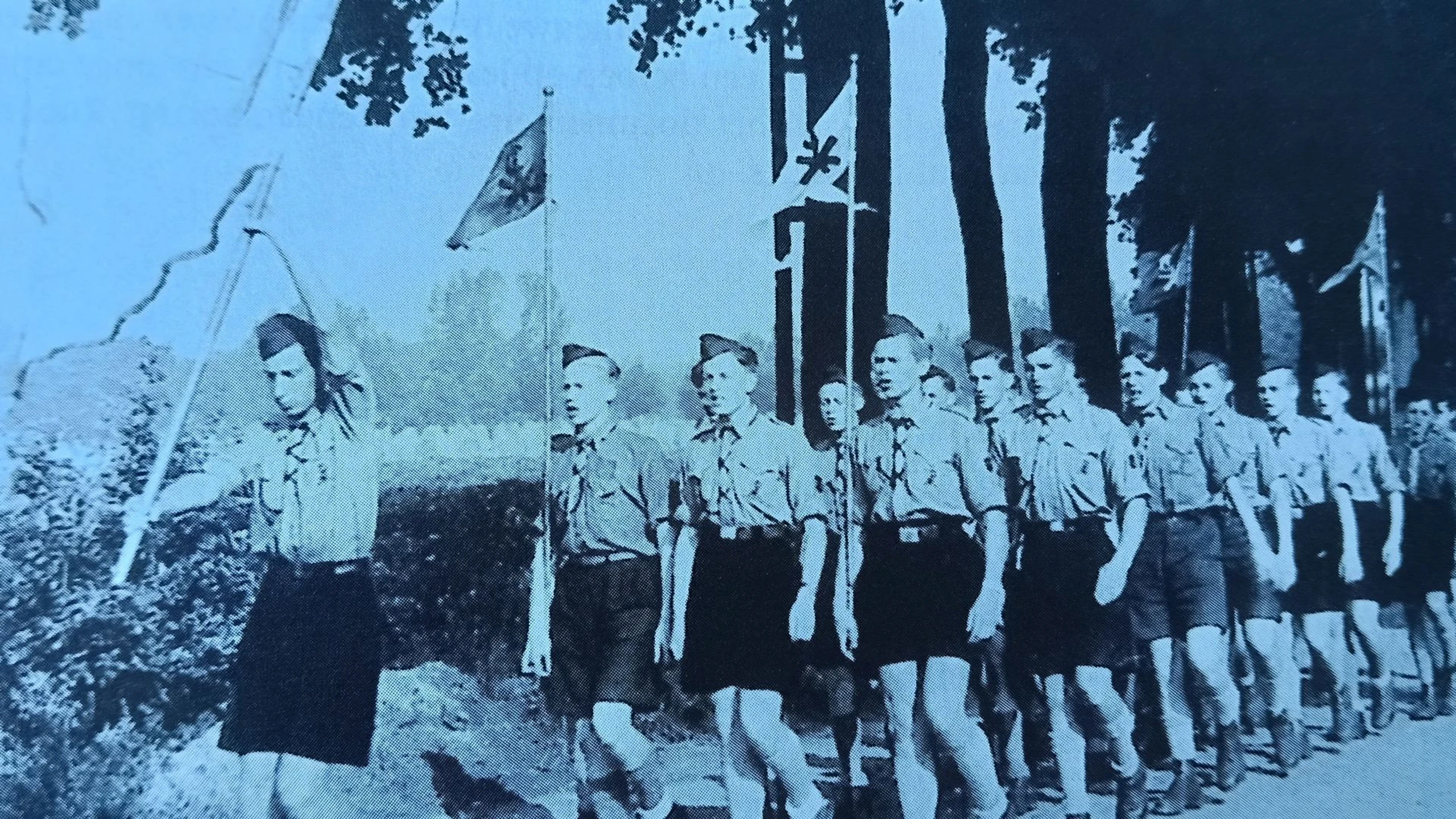 Jongens die een vlag kunnen dragen