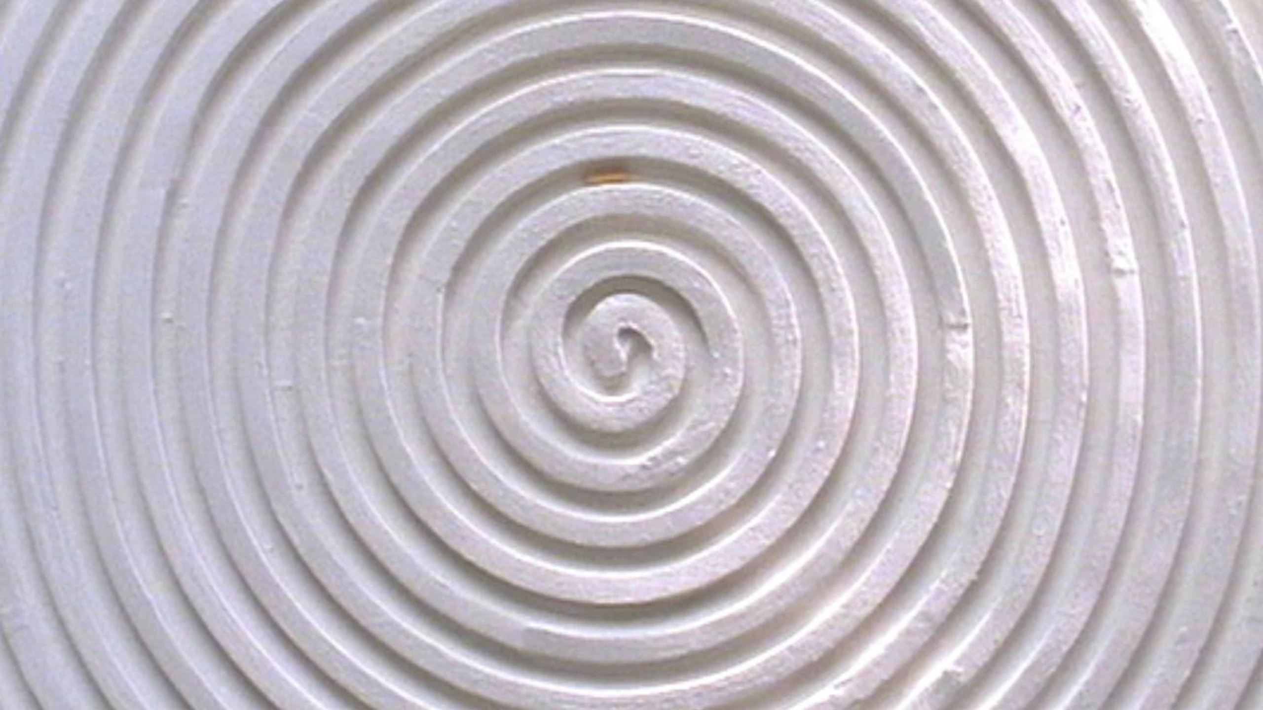 A Story Constructed of 17 Pieces of Space and 1 Maggot