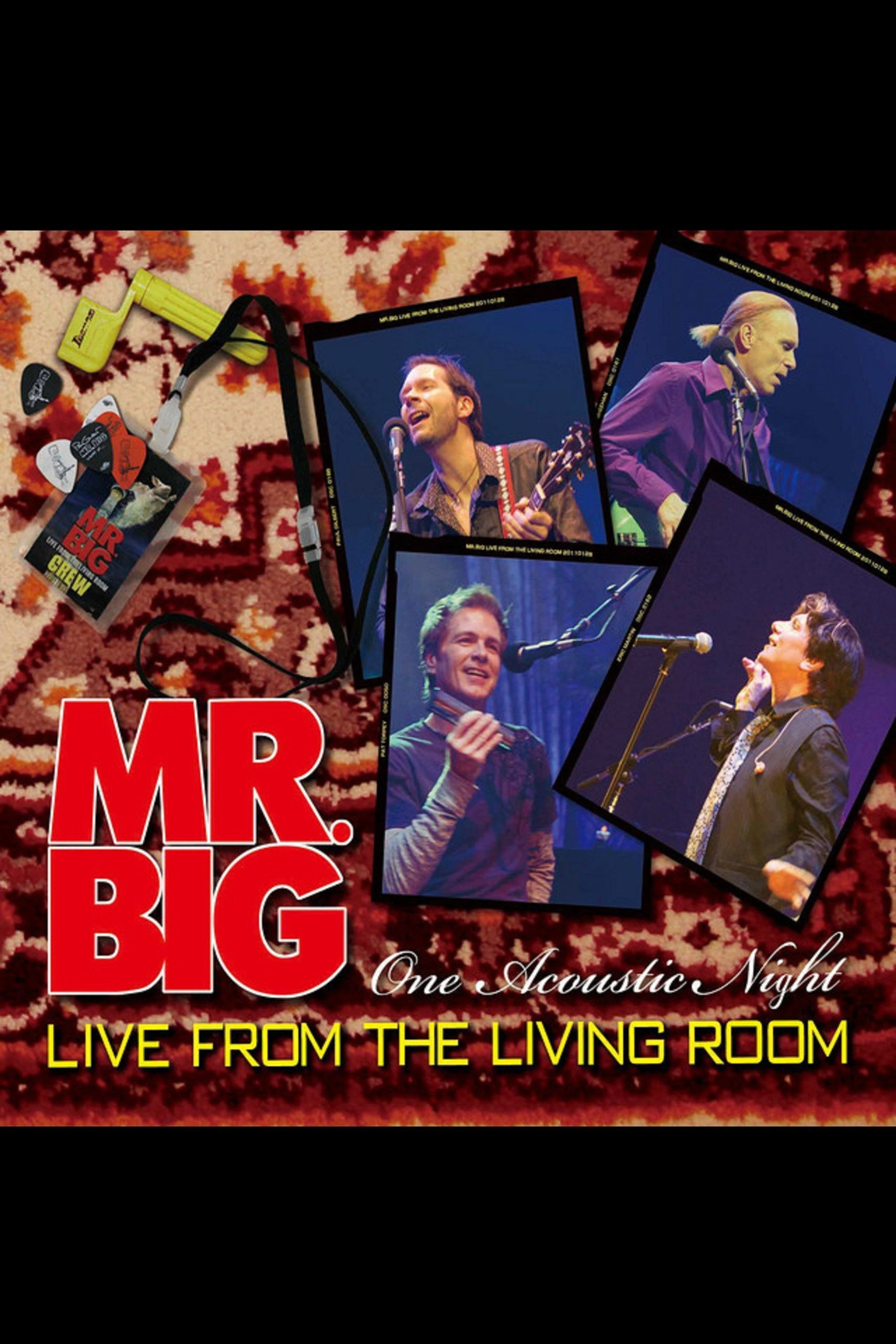 Mr. Big: Live From The Living Room