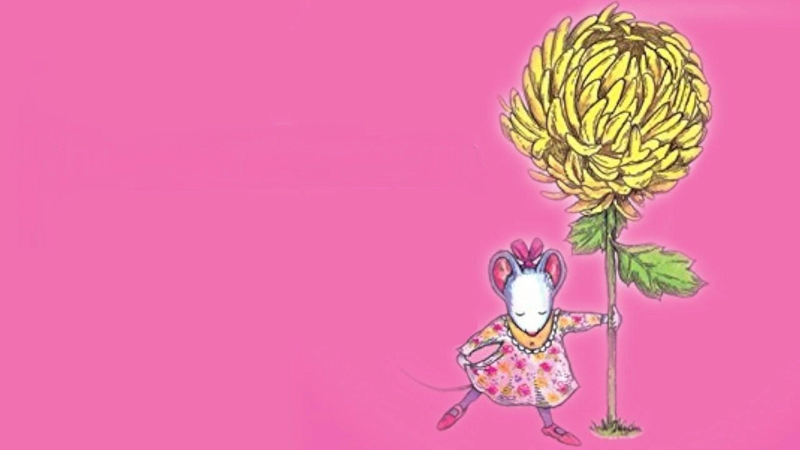 Chrysanthemum