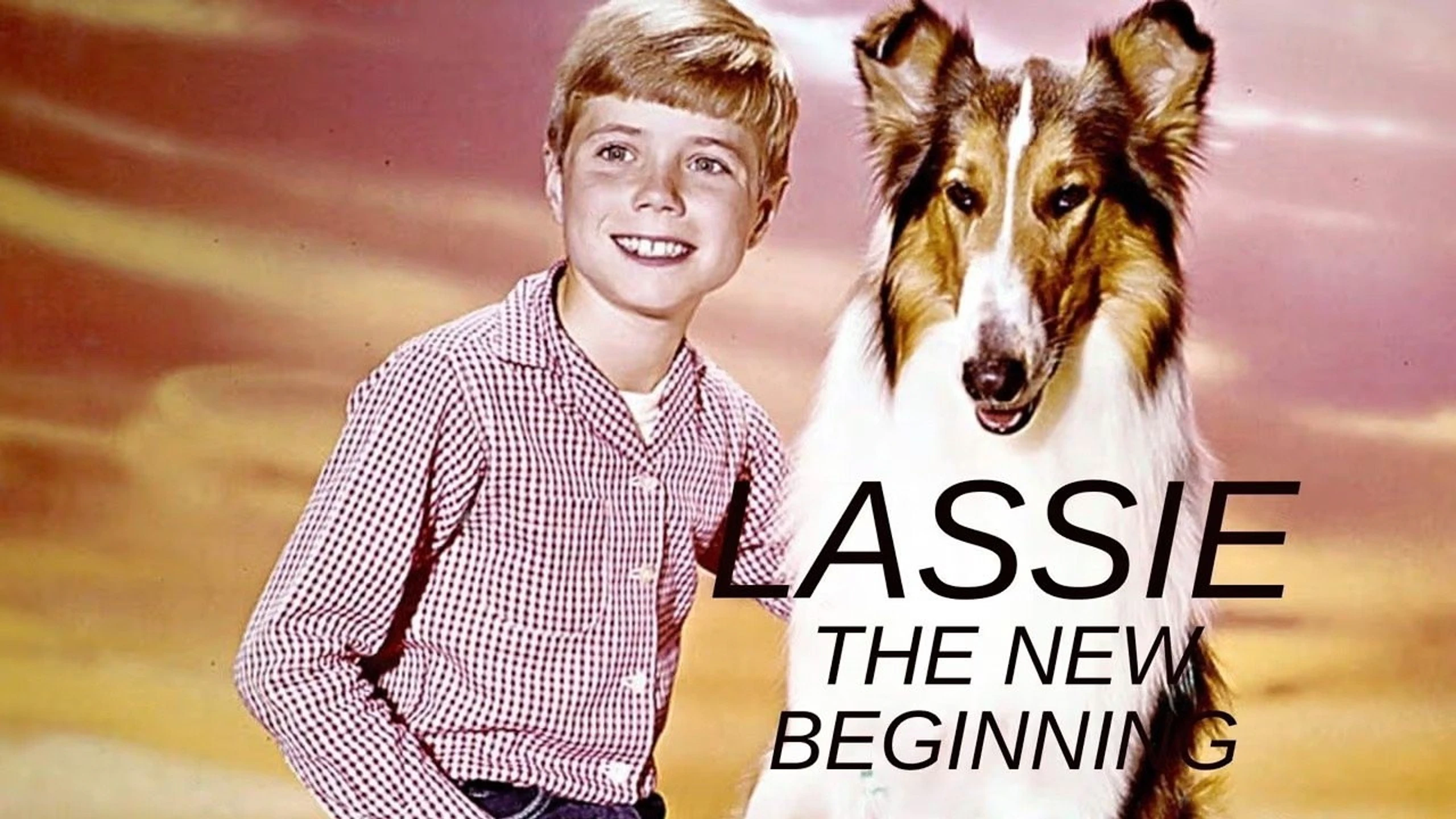 Lassie - Ein neuer Anfang