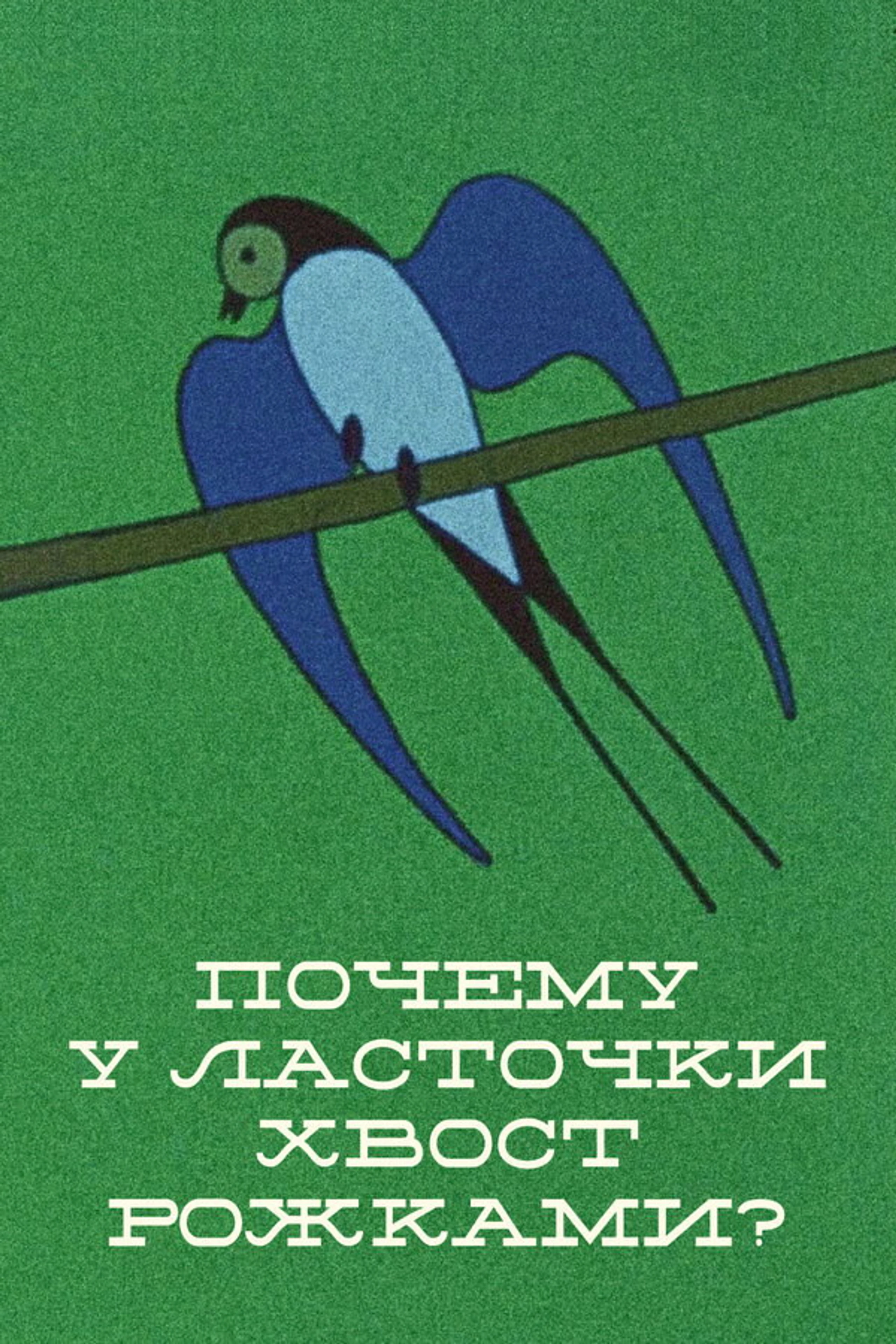 Pochemu u lastochki khvost rozhkami