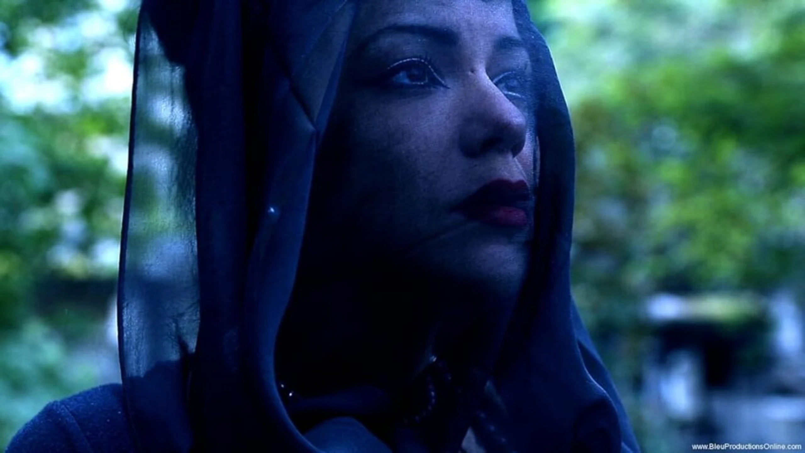 The Black Widow - Lust und Unterwerfung