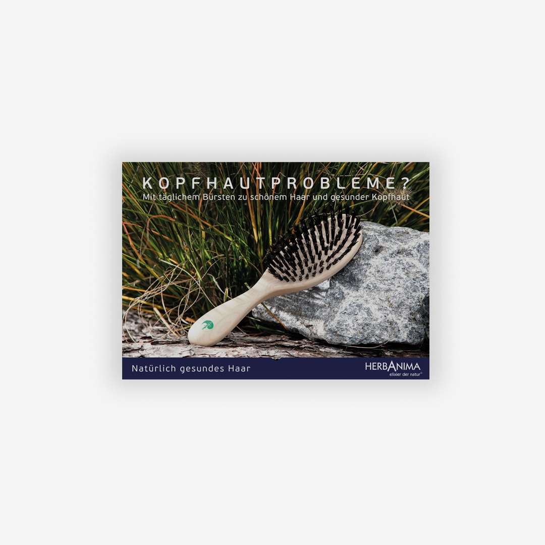 Plakat - Gesunde Kopfhaut - Bürste