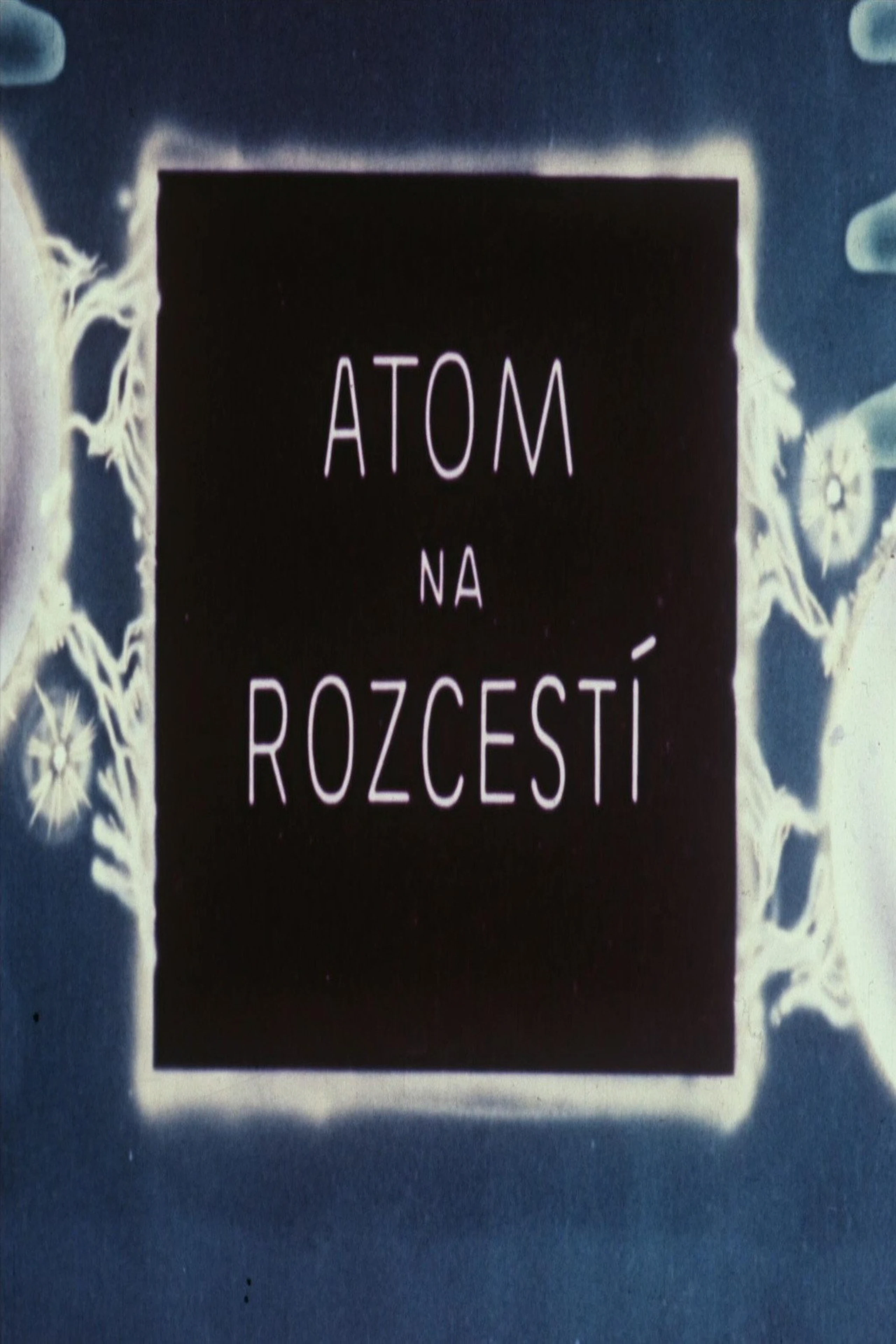 Atom na rozcestí