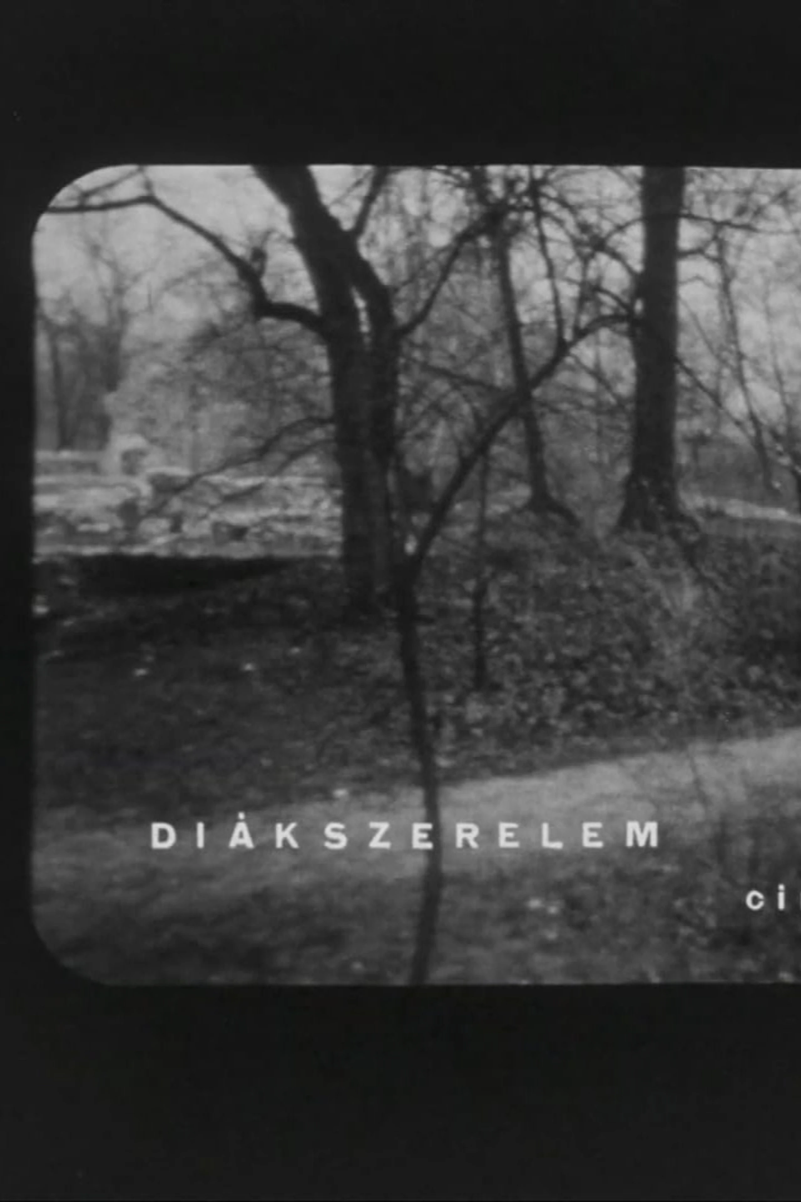 Diákszerelem