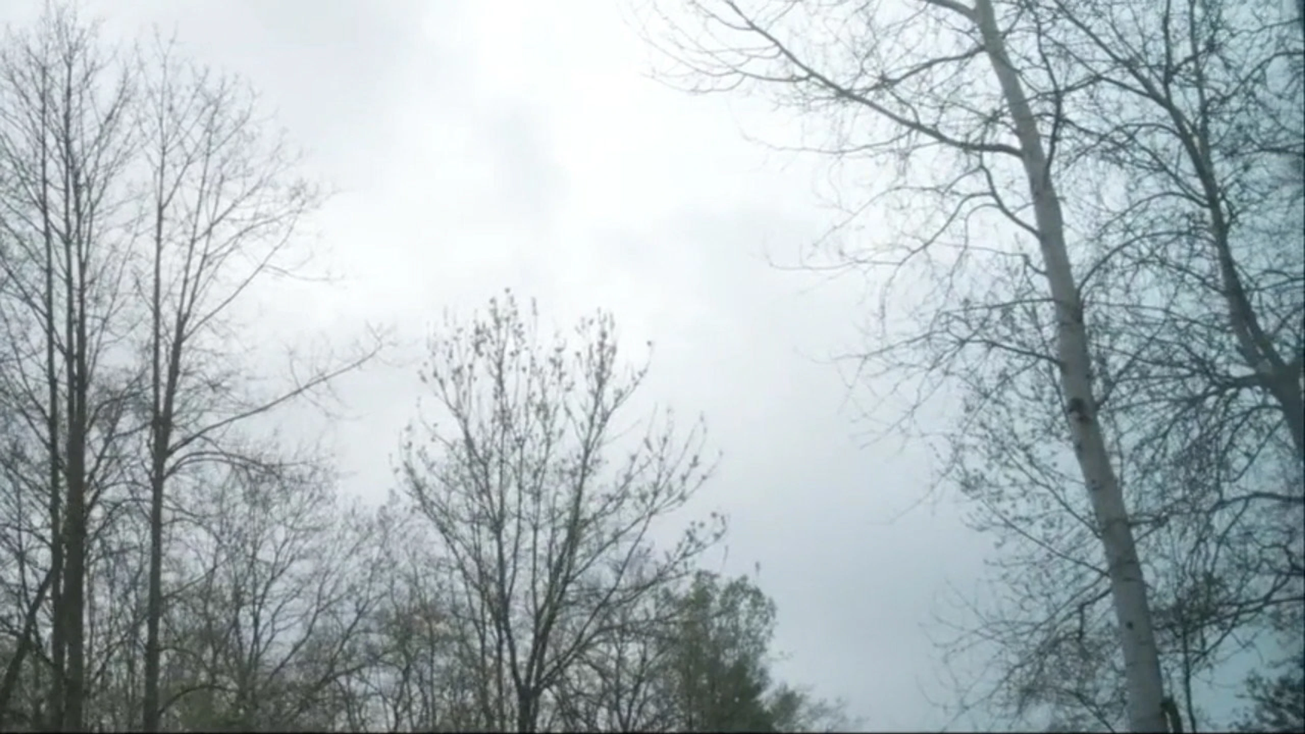 La traversée