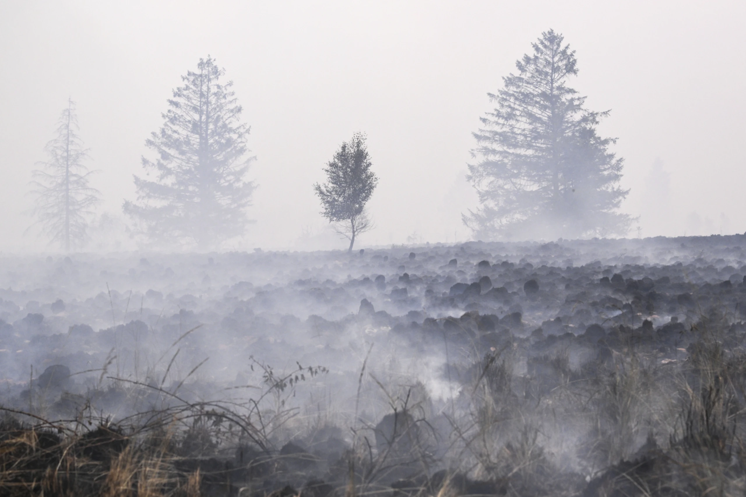 Klimawandel könnte Waldbrandfläche in Europa verdreifachen