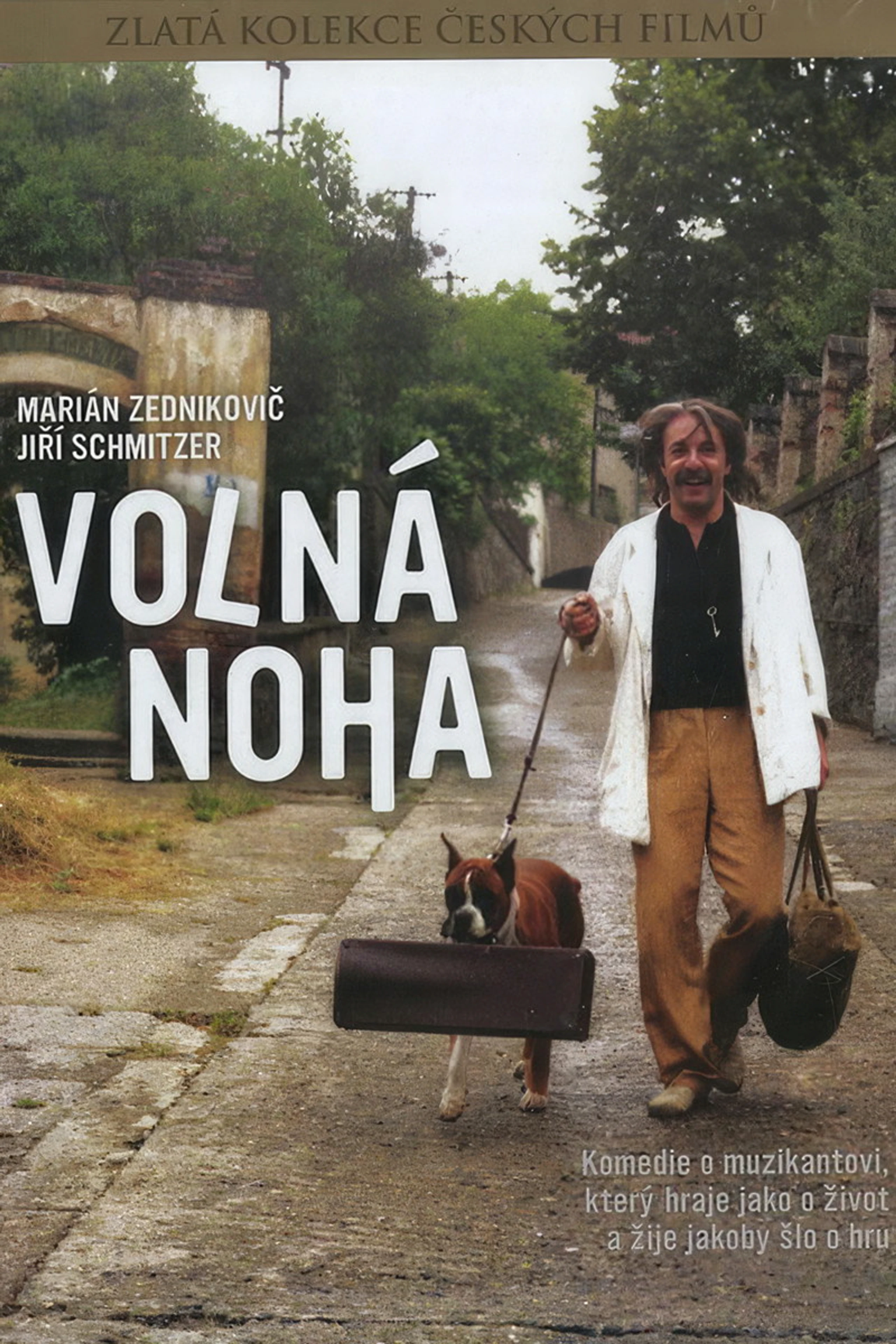 Volna noha