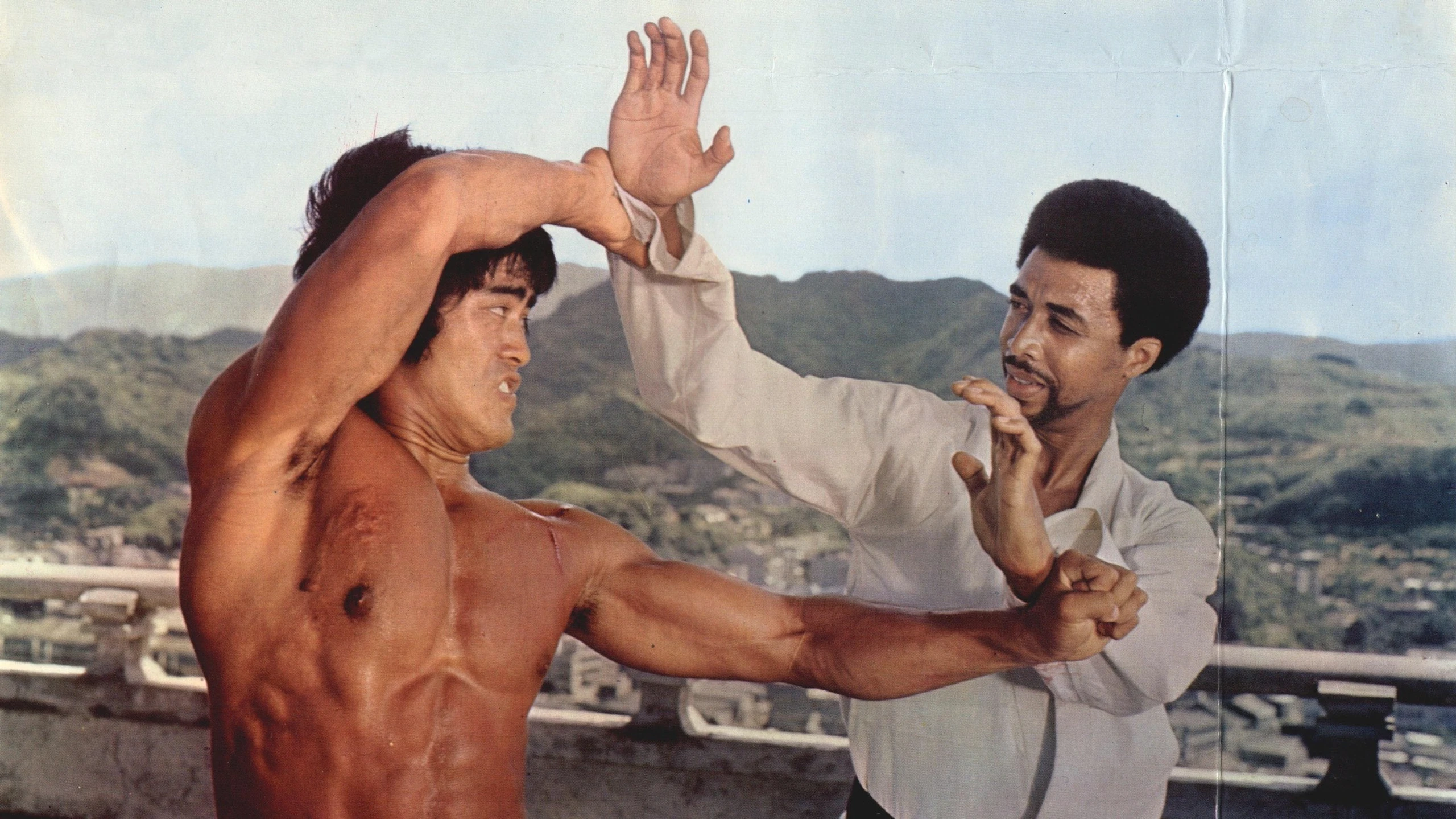 Rache für Bruce Lee