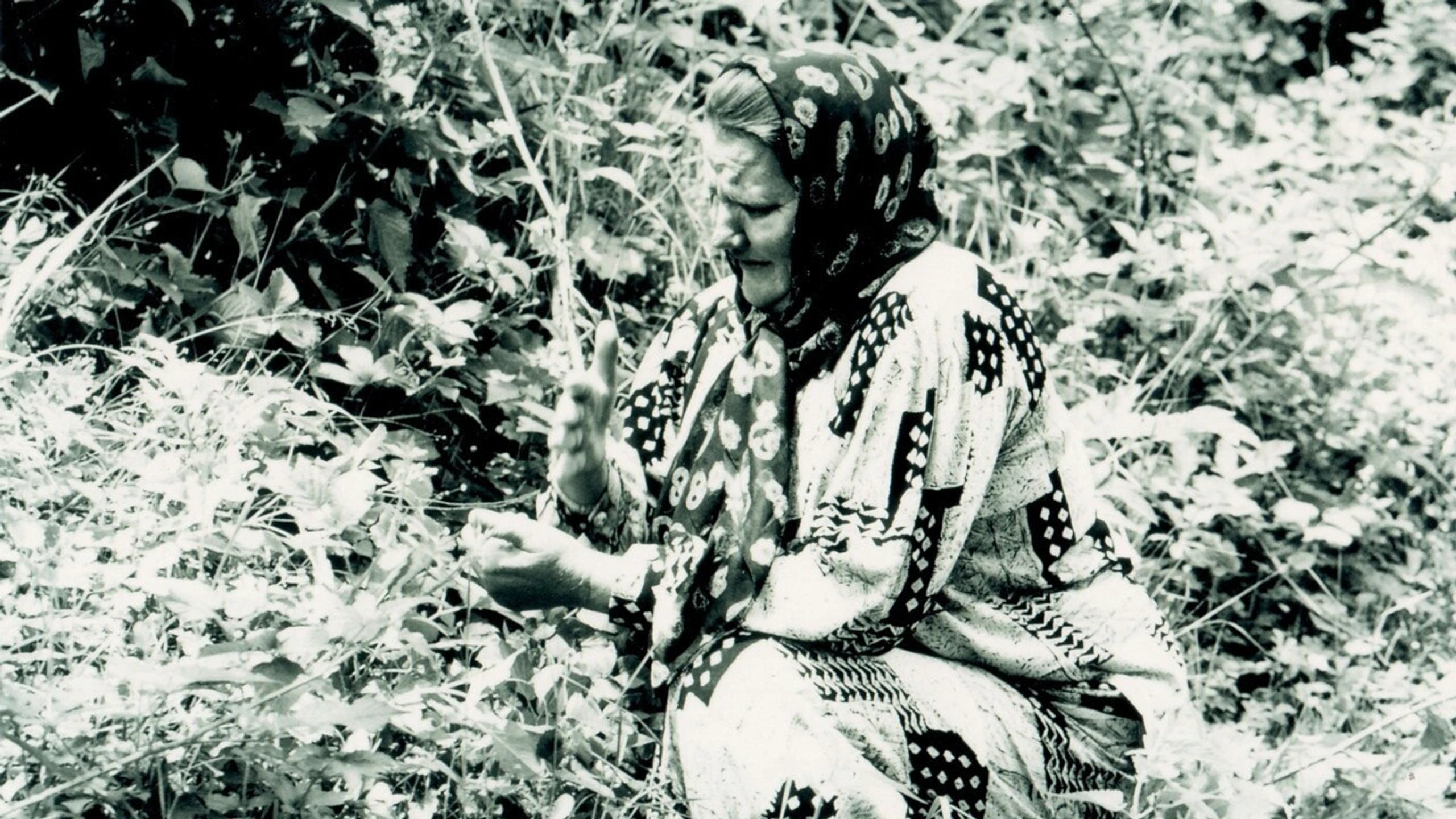 Srebrenica: A Cry from the Grave