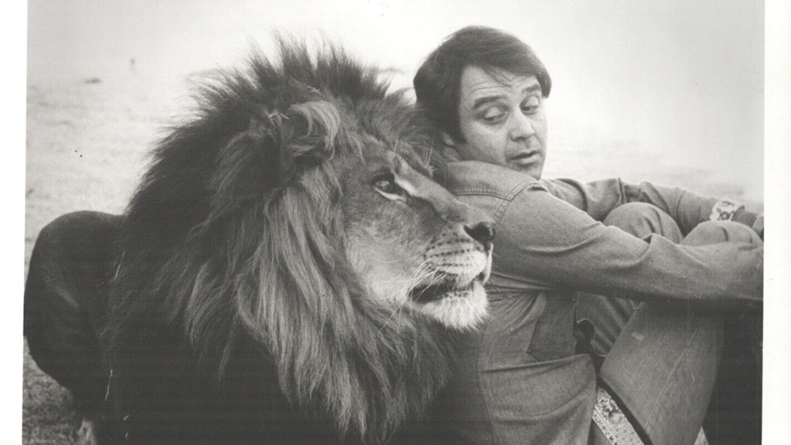 Frasier the Lovable Lion