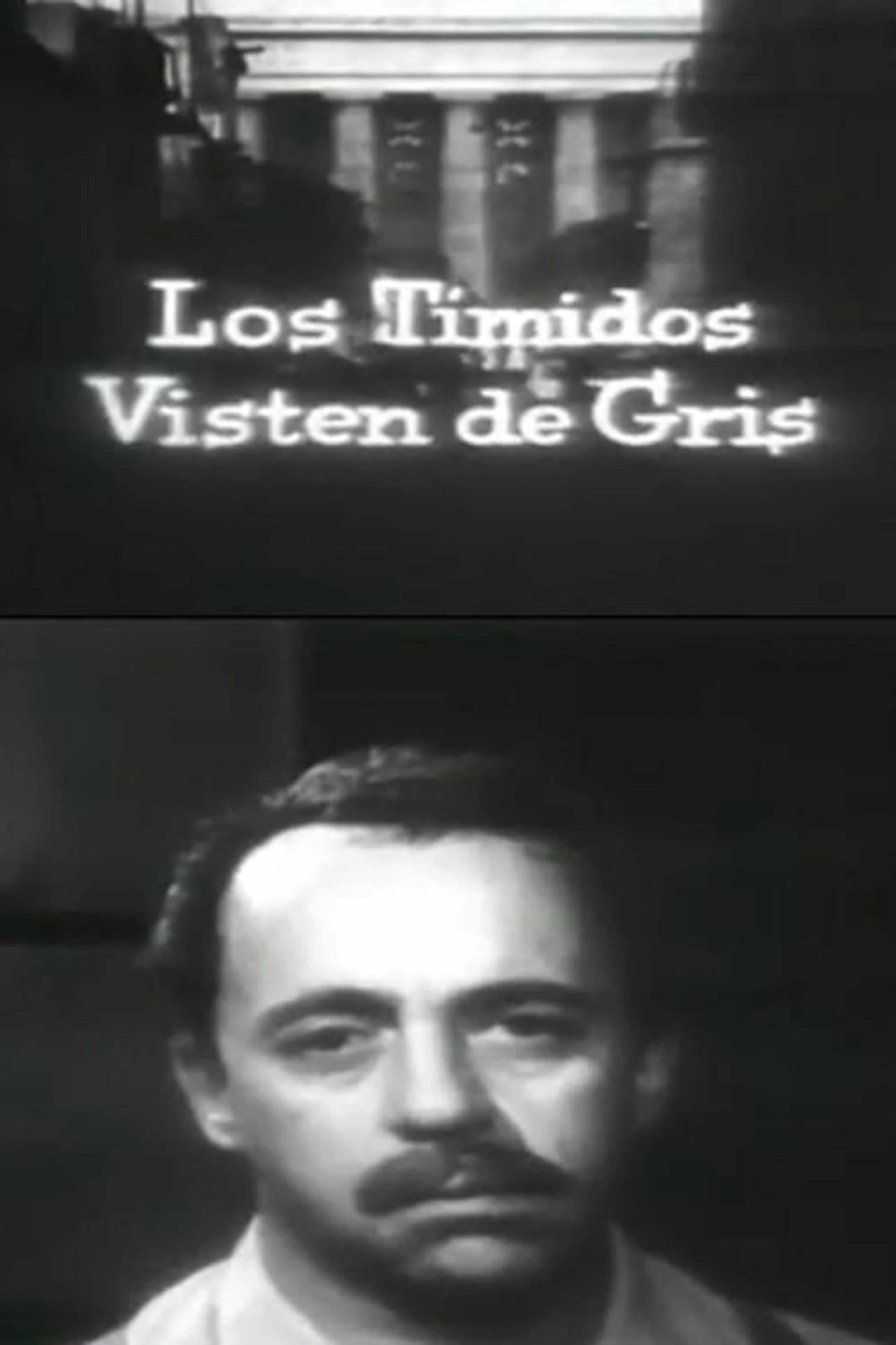 Los tímidos visten de gris