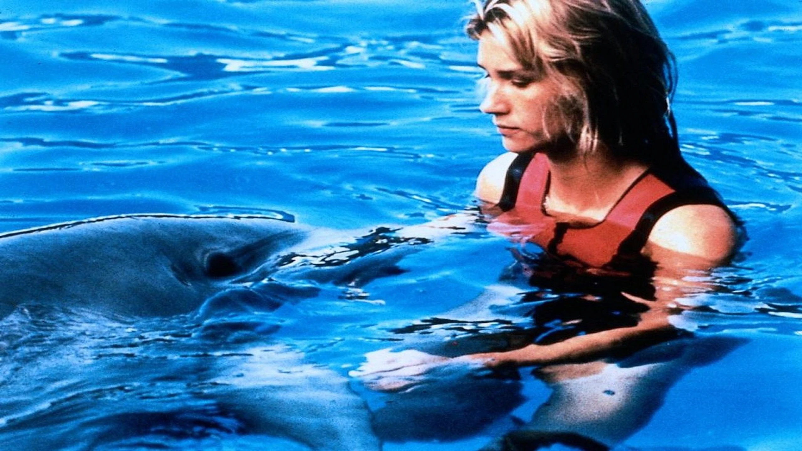 Das Mädchen und der Delfin