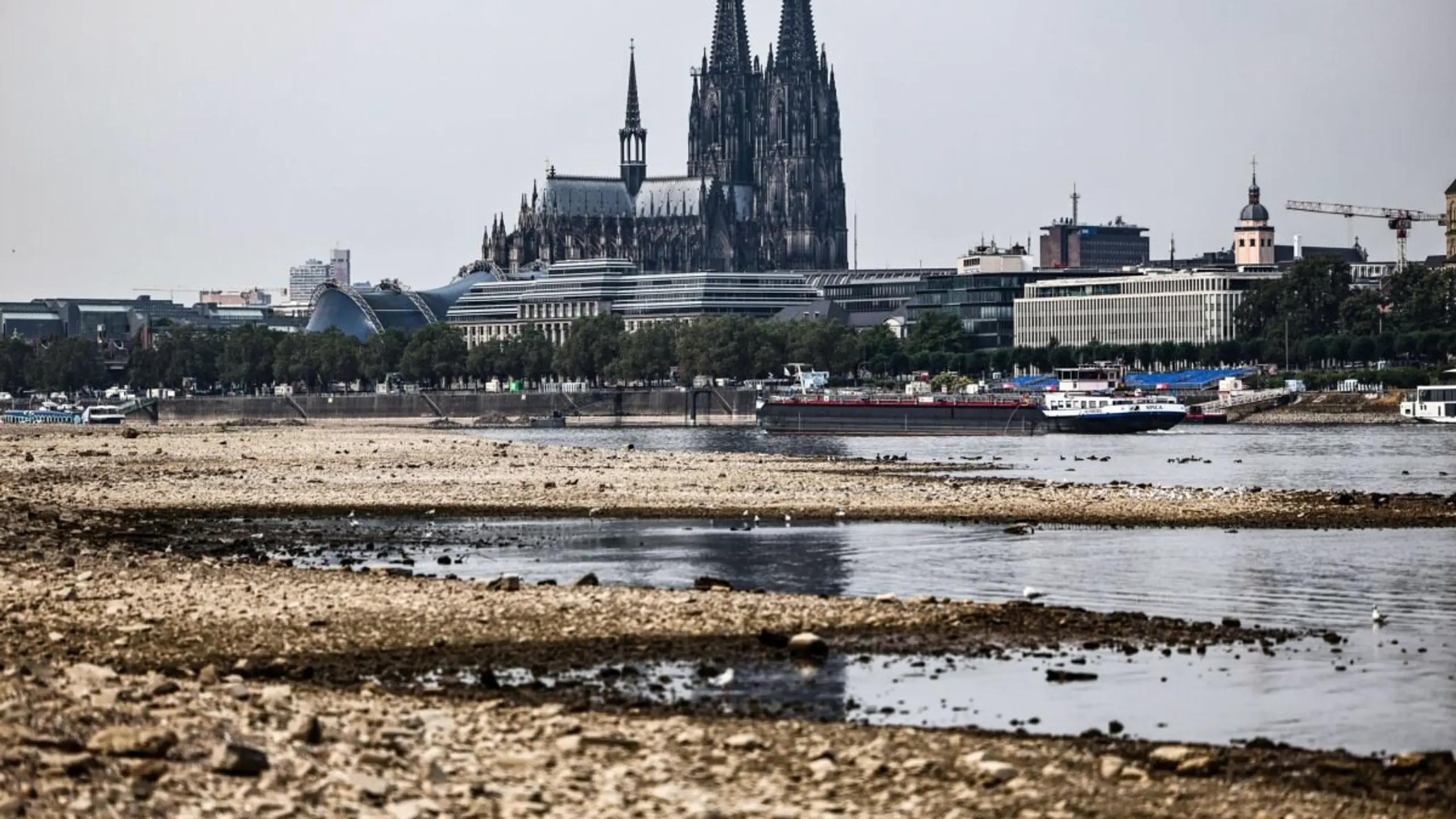 © DPA, Oliver Berg, Apa Bester Wert seit mehr als vier Jahren
