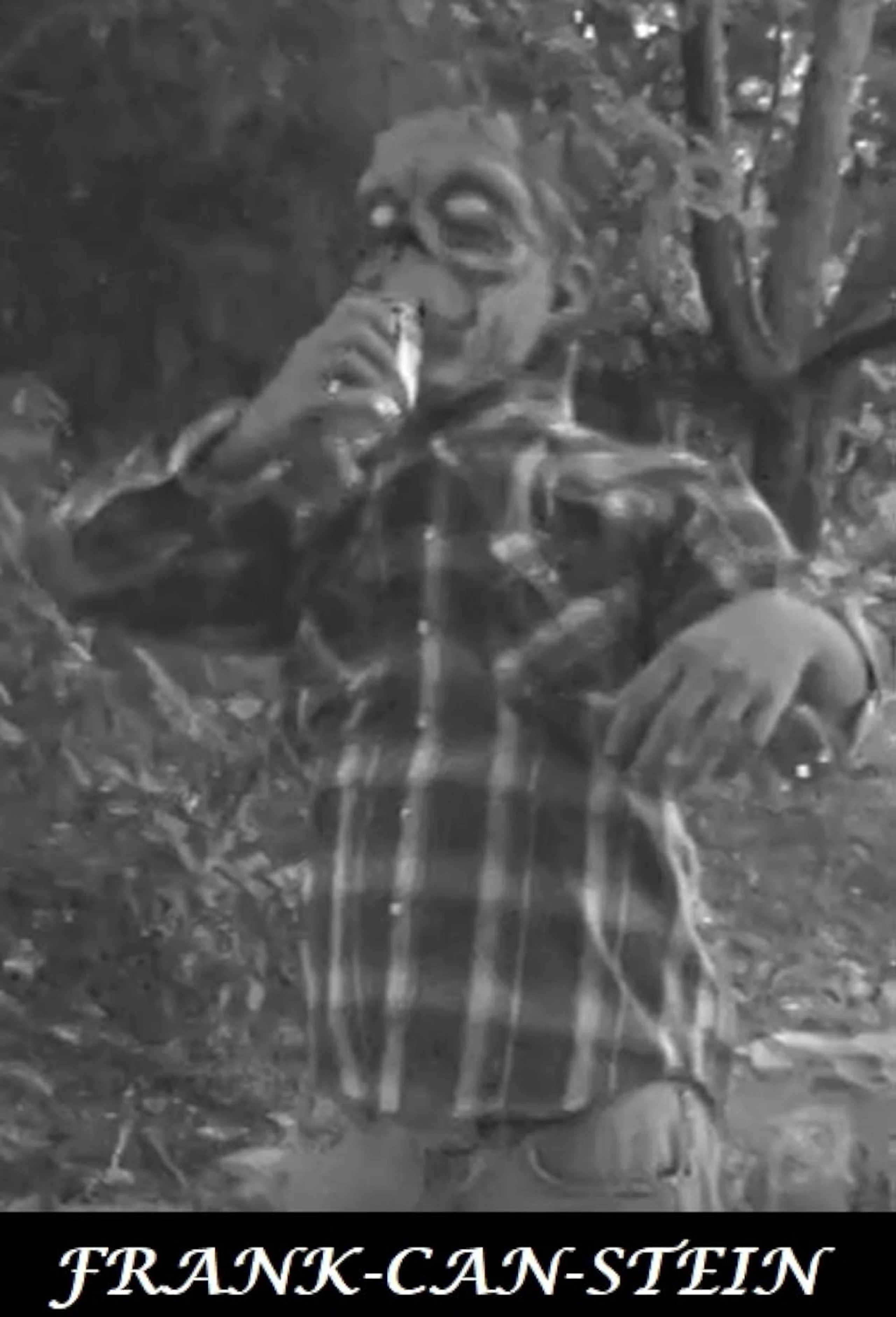 The Frank-Can-Stein Monster