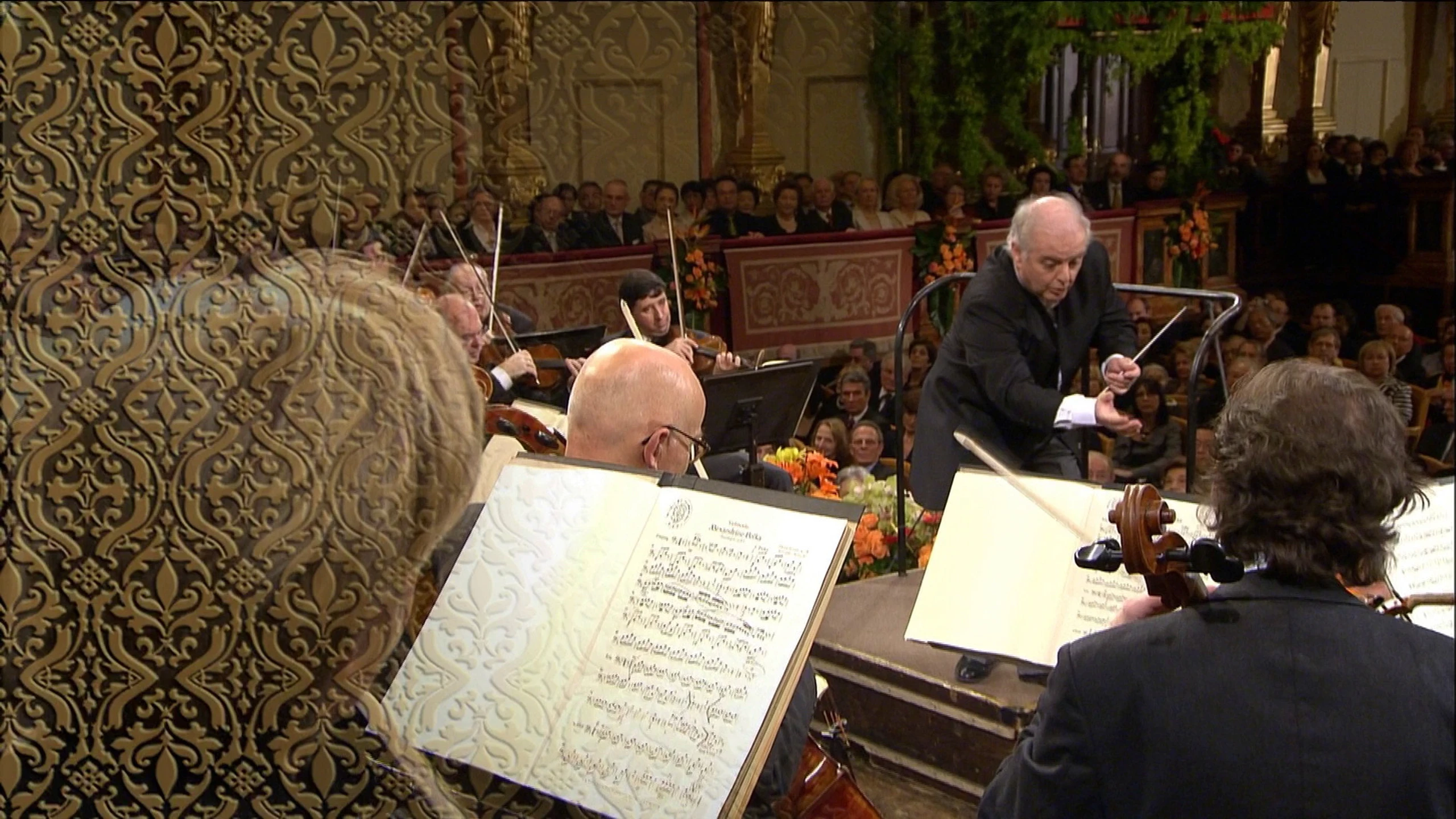 Wiener Philharmoniker Neujahrskonzert 2009
