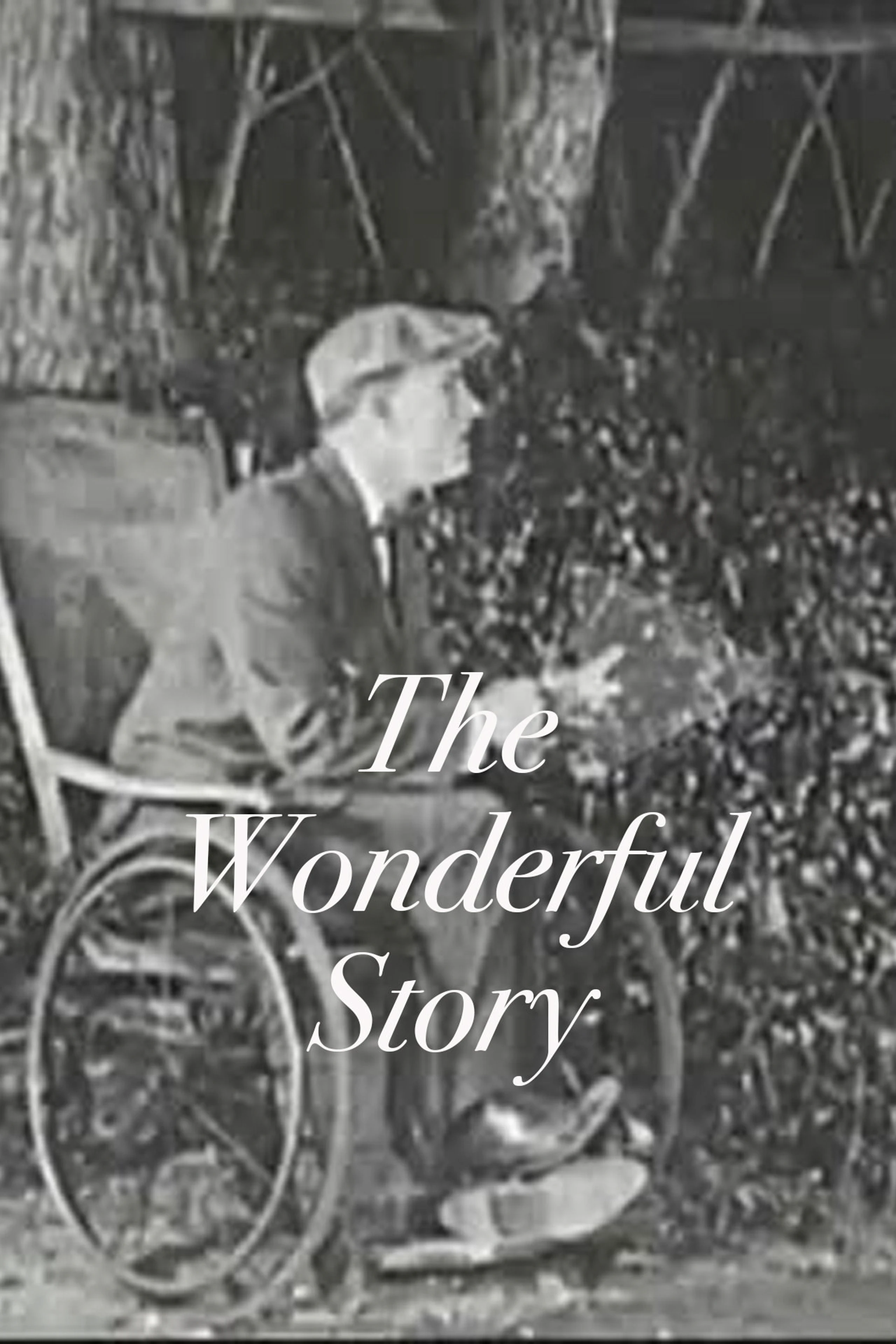 The Wonderful Story